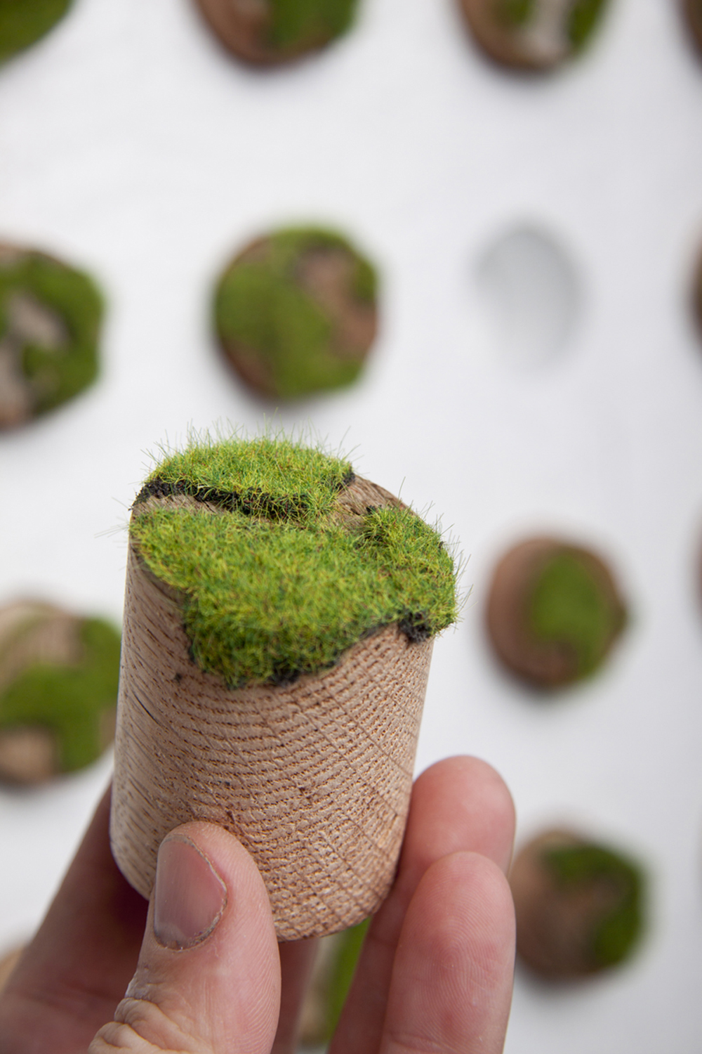 GRASS PLUG DETAIL #2.jpg