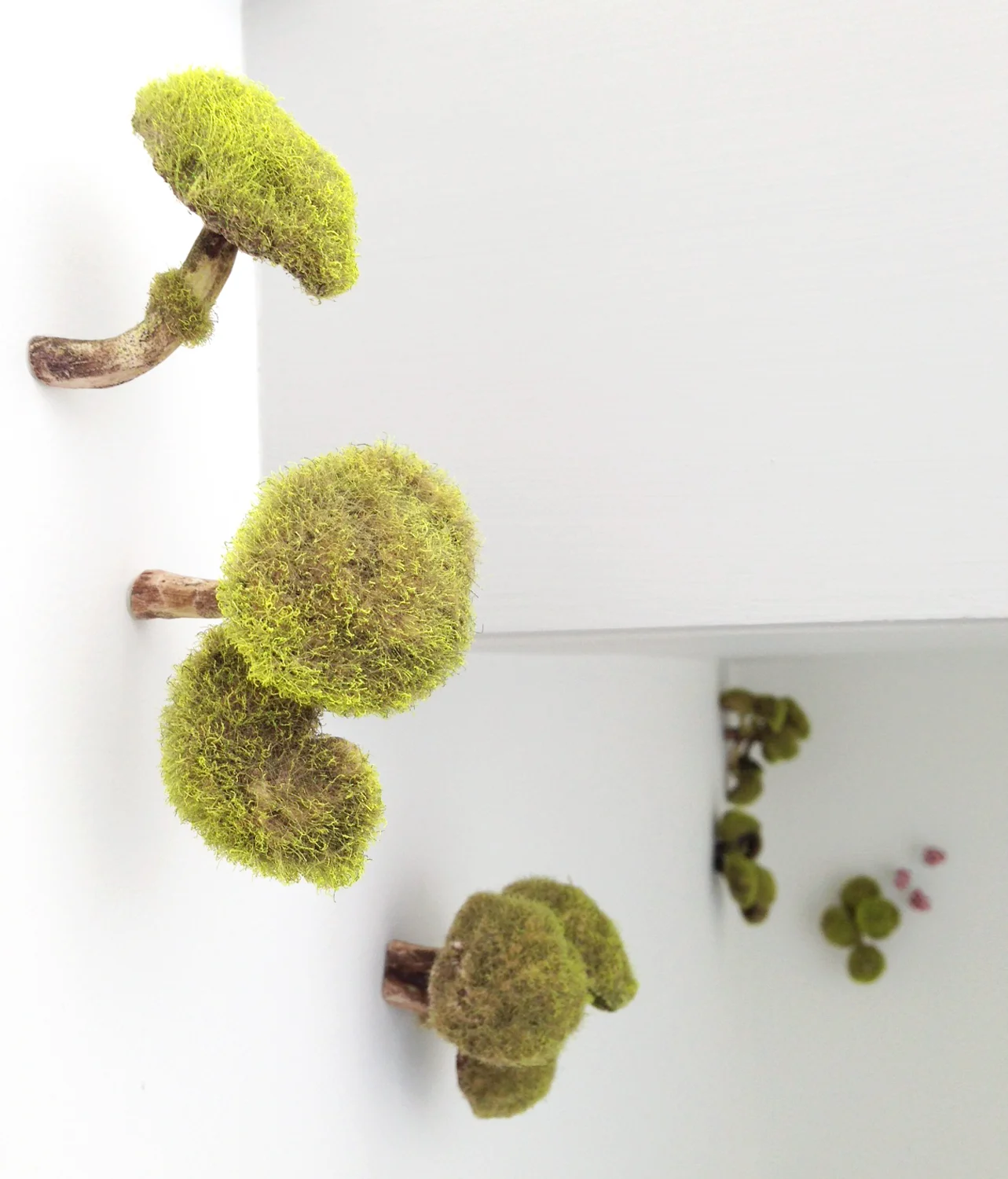 6.Mushroom Installtion detail.jpg