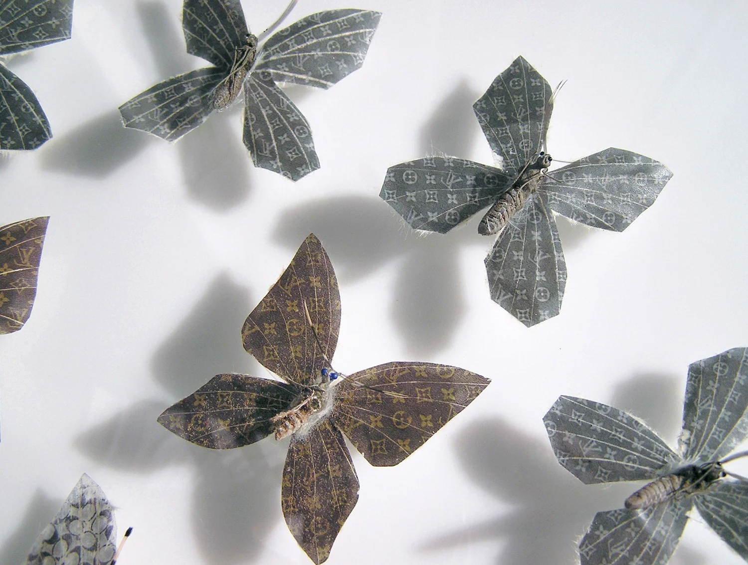 babybutterflydetail.jpg