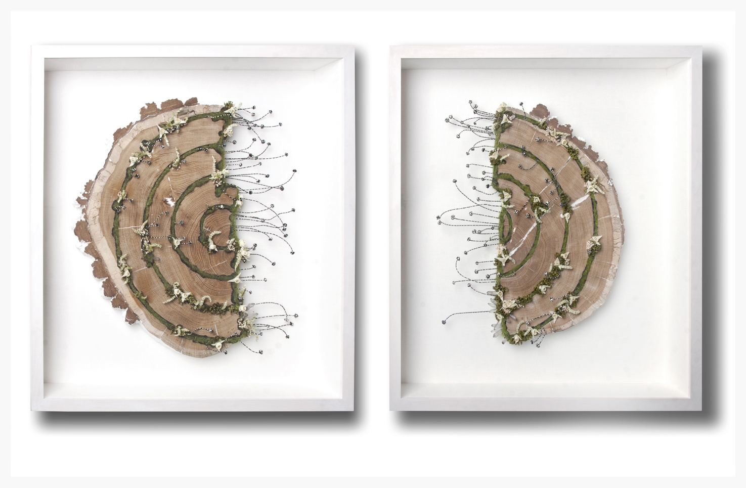 4.OAK SLAB SPLIT DIPTYCH LR.jpg