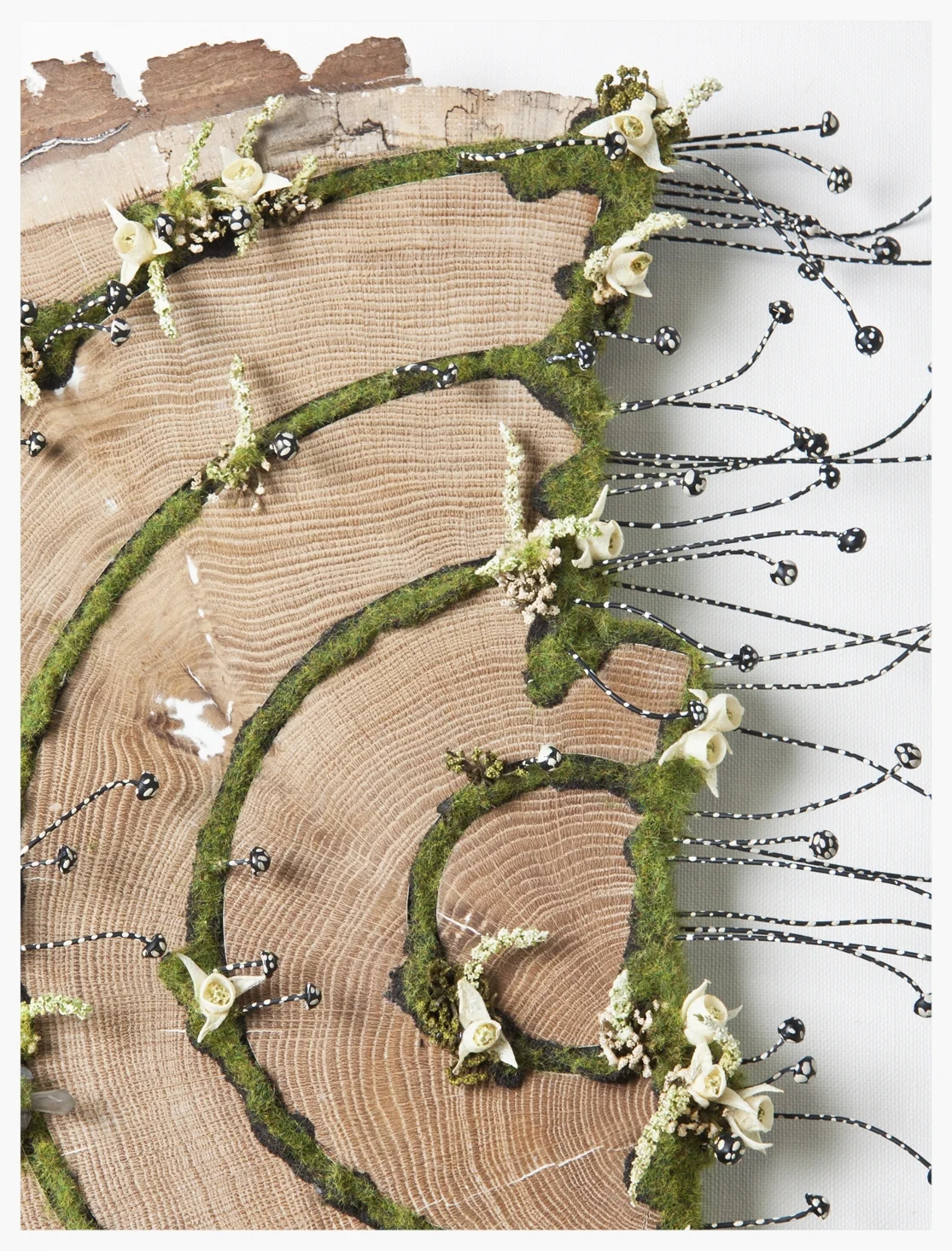5.OAK SLAB SPLIT DETAIL 3LR.jpg