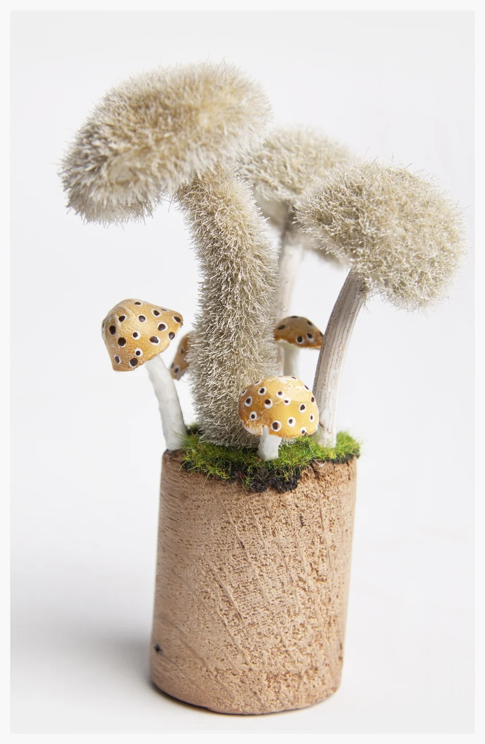 7.MUSHROOM PLUG LR.jpg