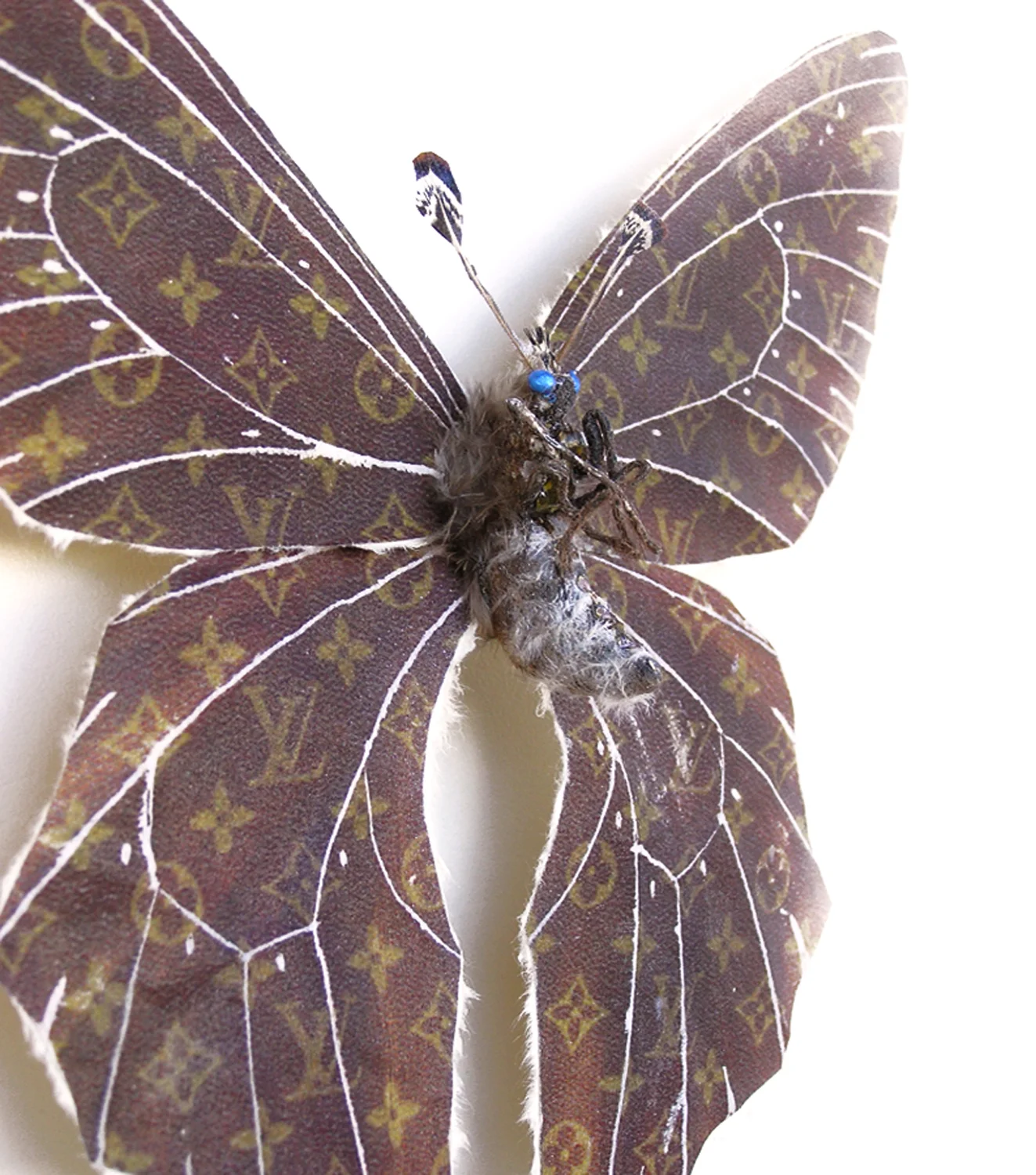 lvbutterflylr.jpg