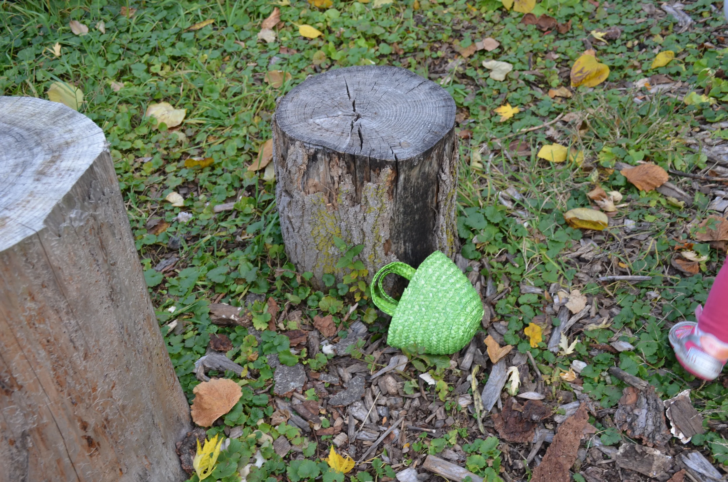 The Nature Basket: 5 Days of Nature Collecting, Toddler Style