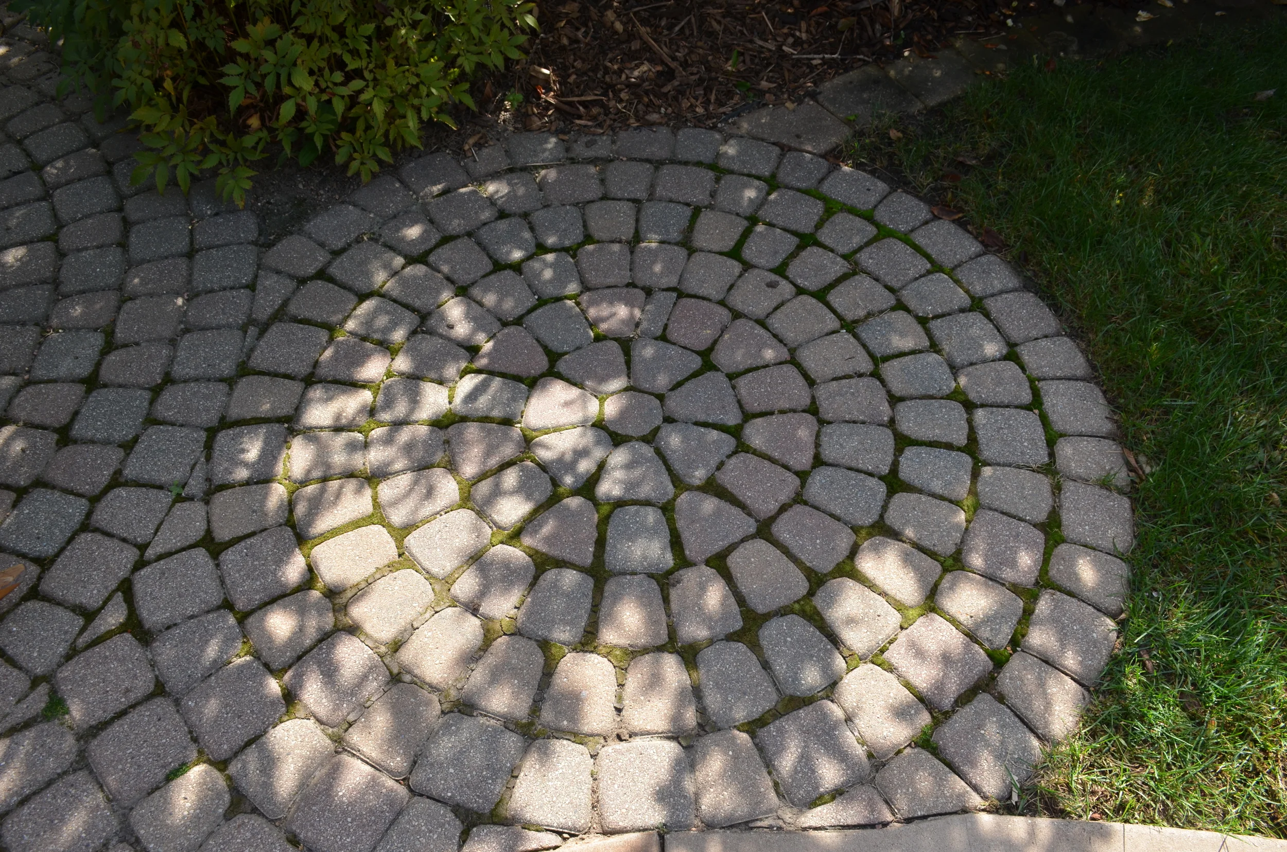 How Nature Play is Like A Murder Mystery Series