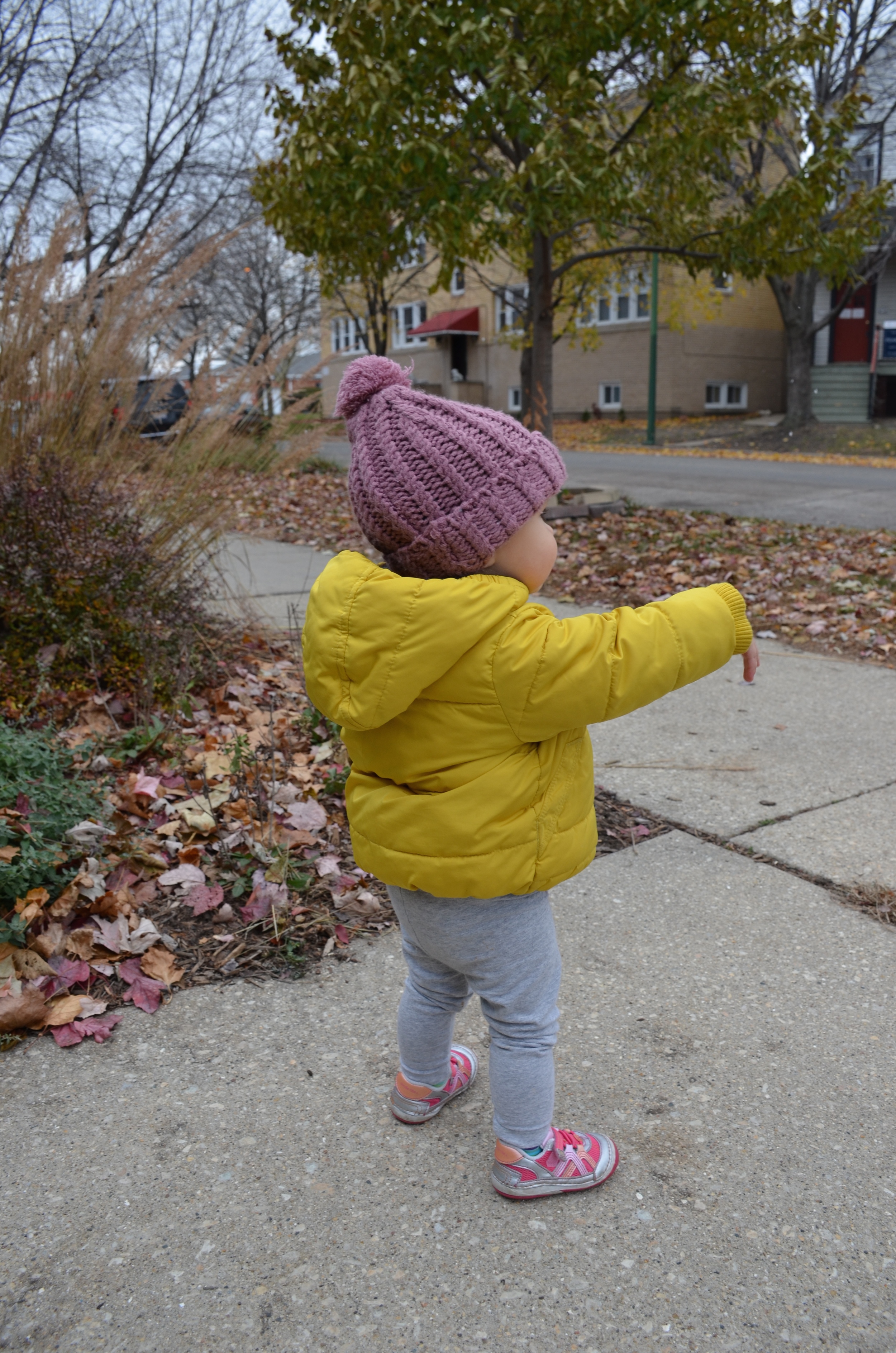 The Nature Basket: Day 5, The End of the Buggit, For Now