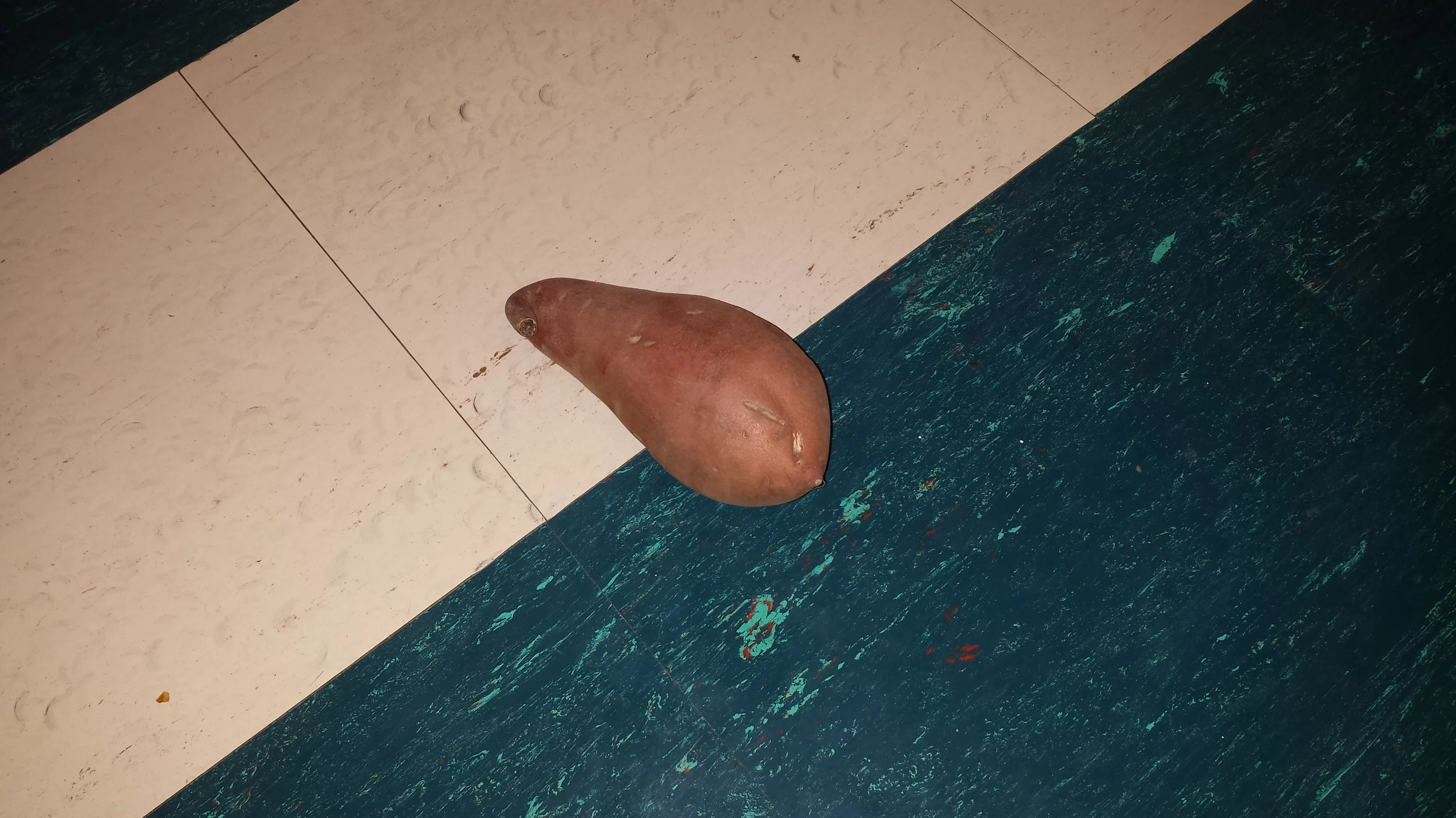 The Nature Basket, Day 3: You Say Potato...