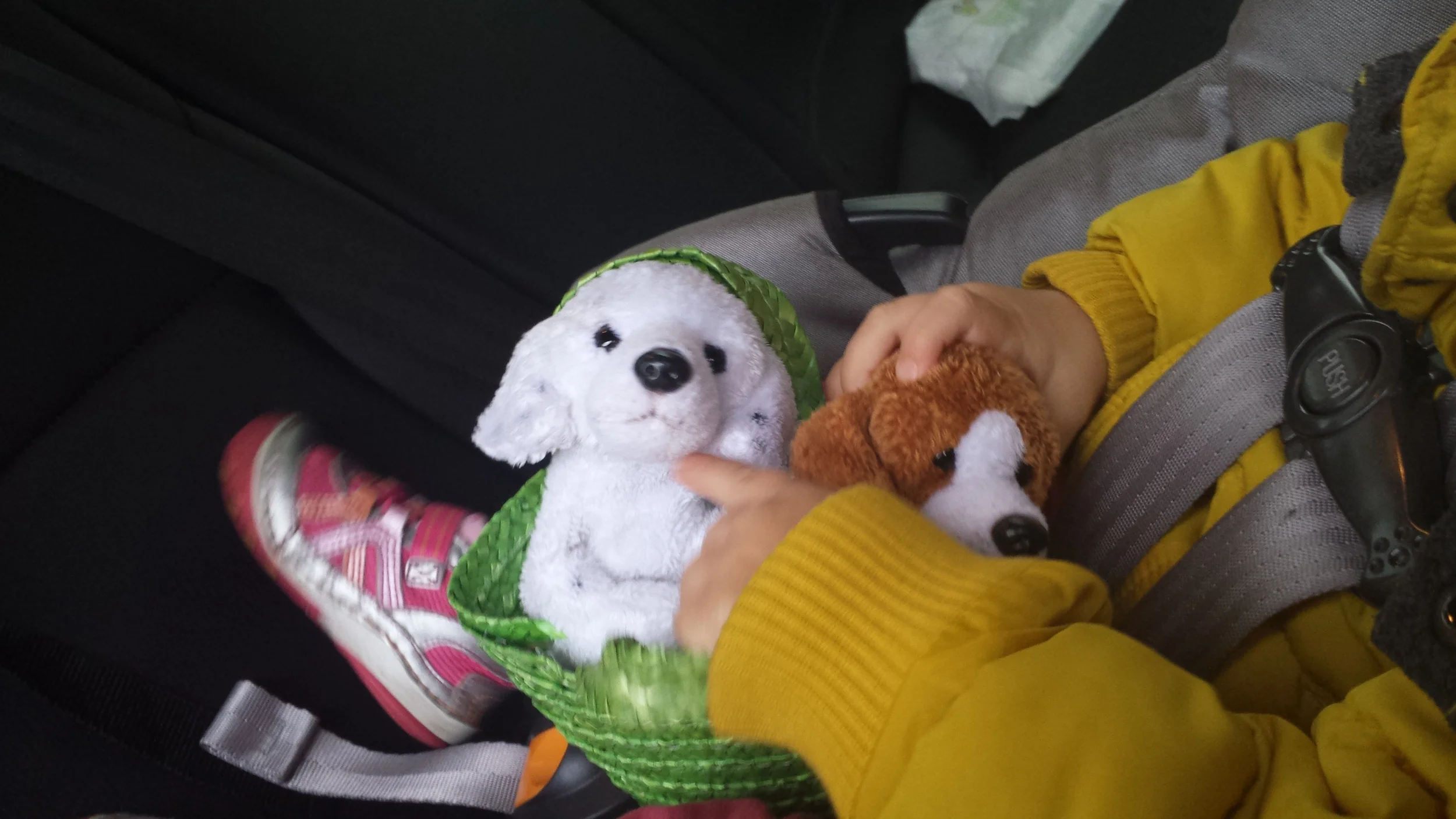 The Nature Basket, Day 2: Visit to the Doctor