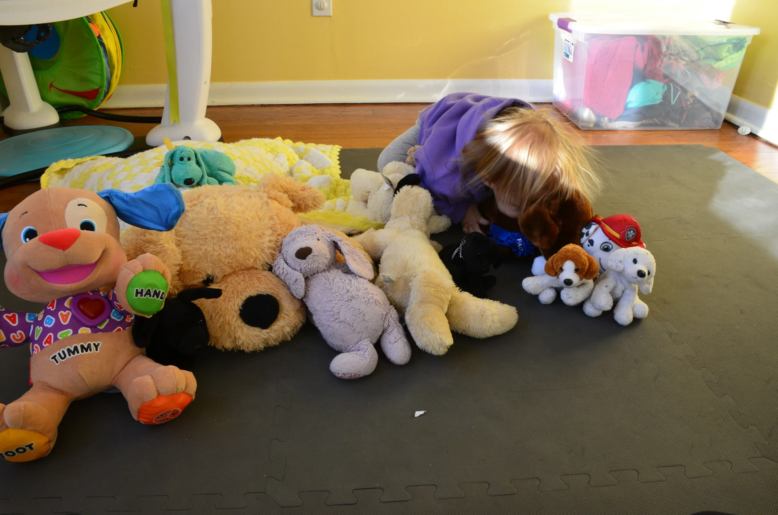 The Season of Caring Continues: Fostering Empathy