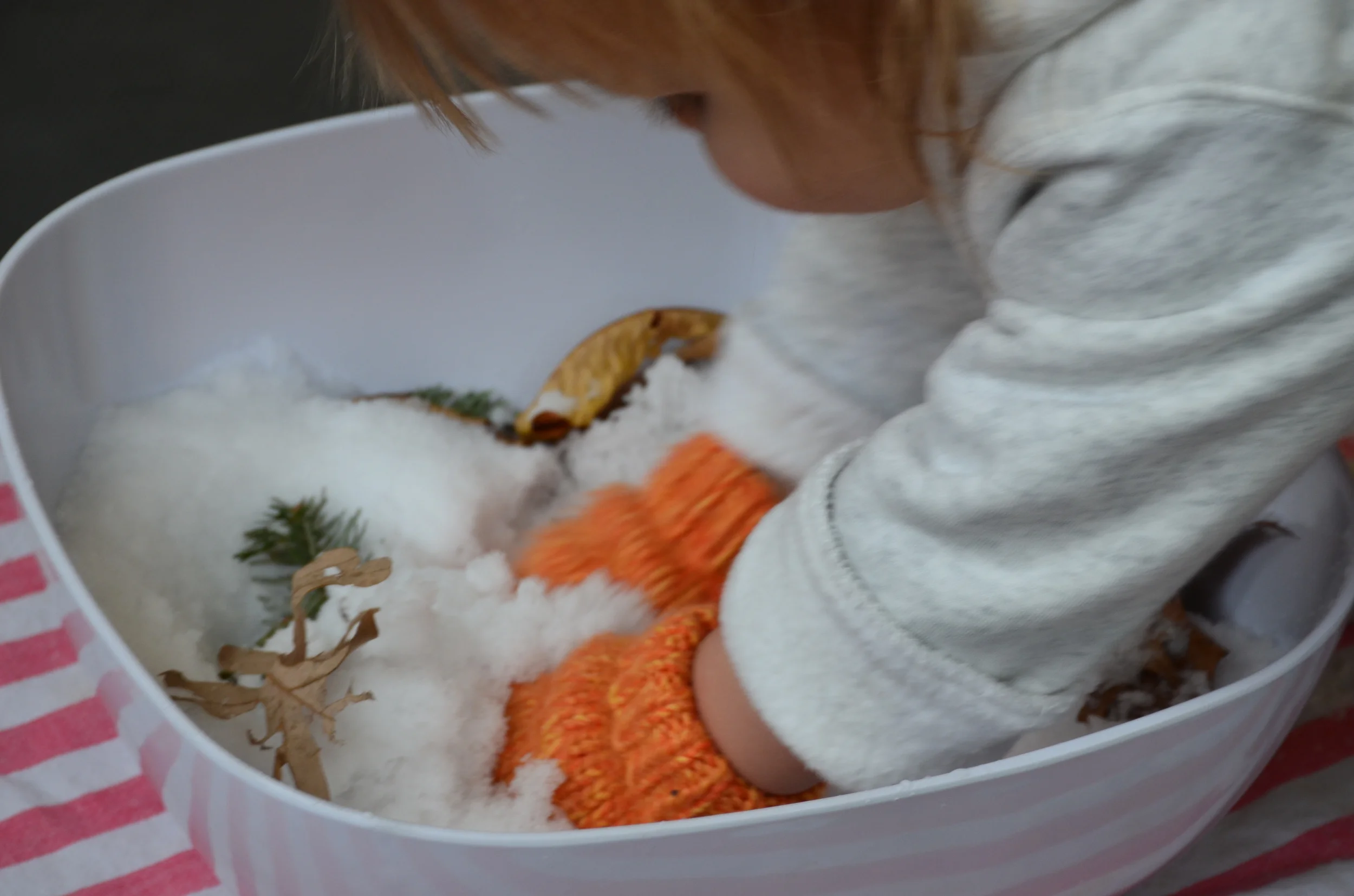 Let it Snow! Examining Inquiry in Toddlerhood