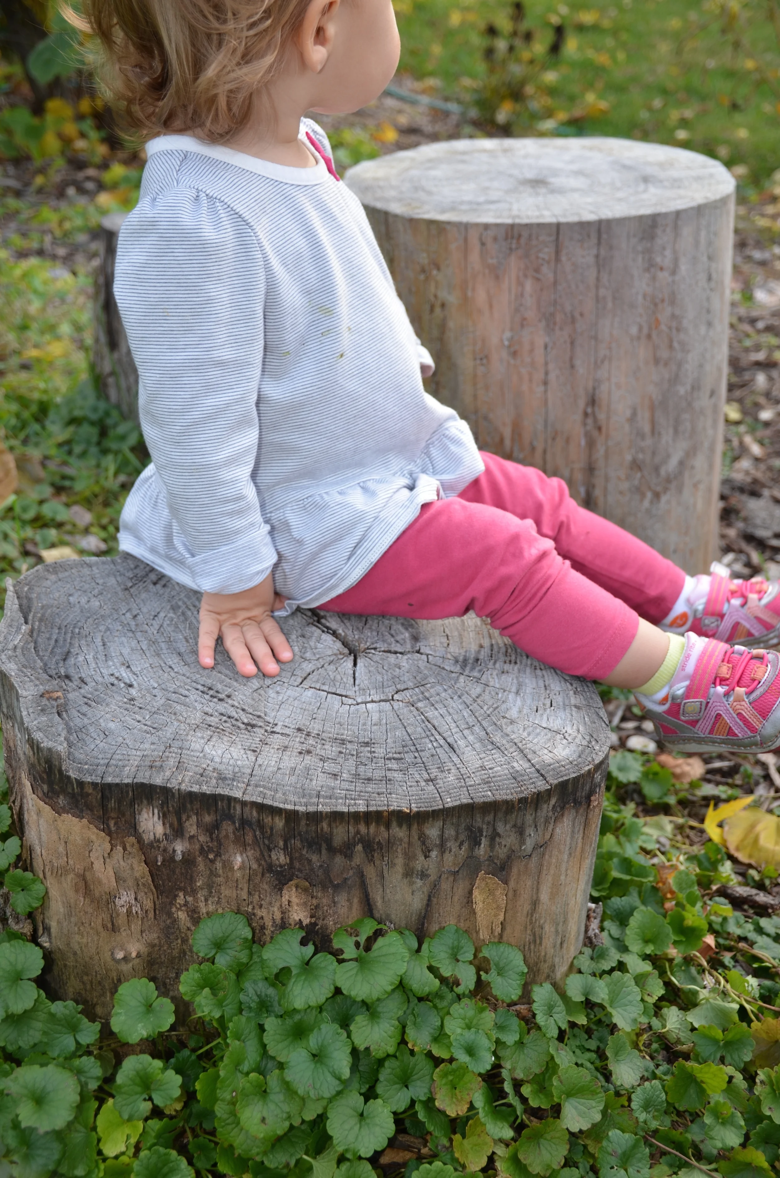 A Week of Inspiration