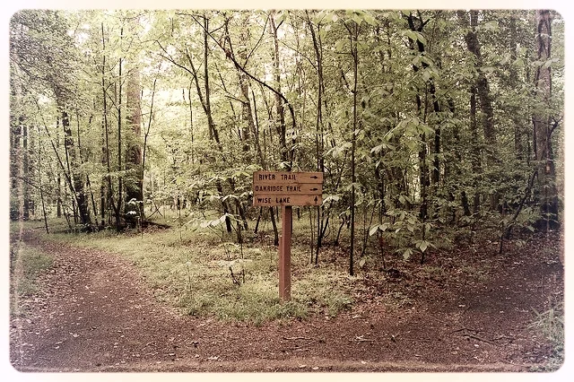 A Week of Inspiration, Day 3: A Walk on the Wild Side