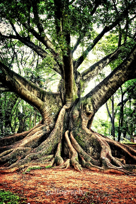 A Week of Inspiration, Day 7: Connections