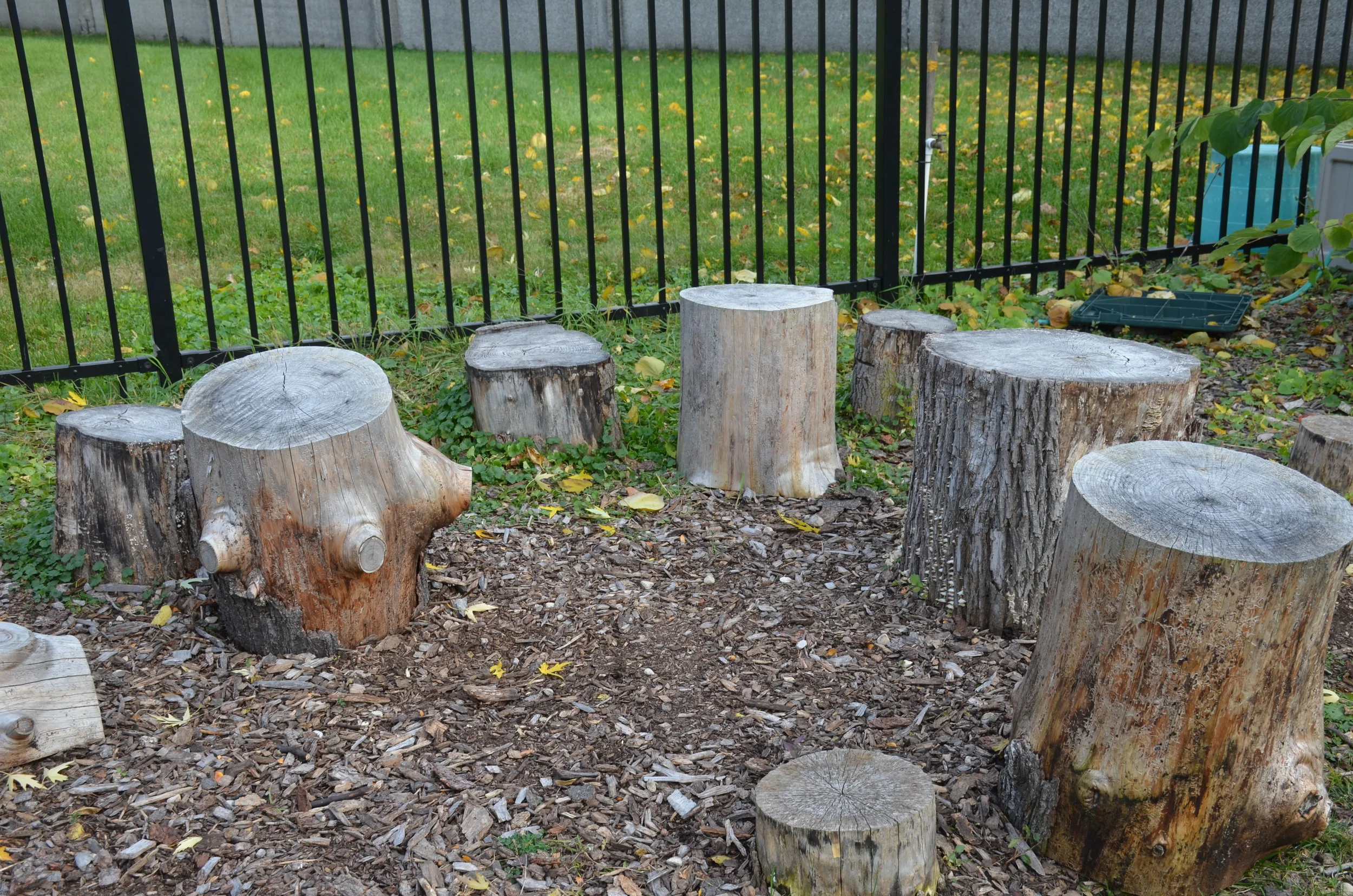 "Stump Jump" in the BCO Greenspace