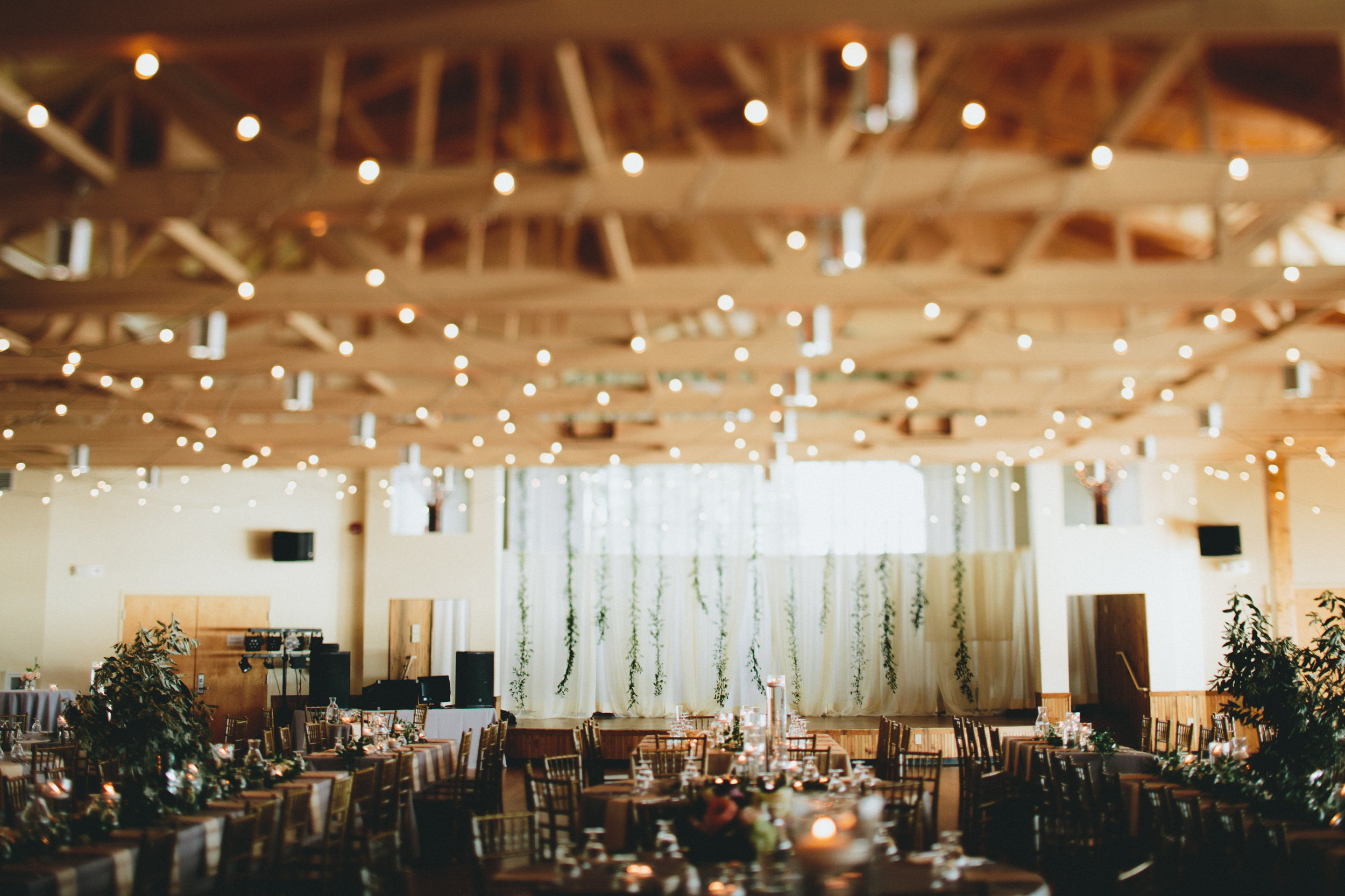 Derek Emily-Reception-0139.jpg