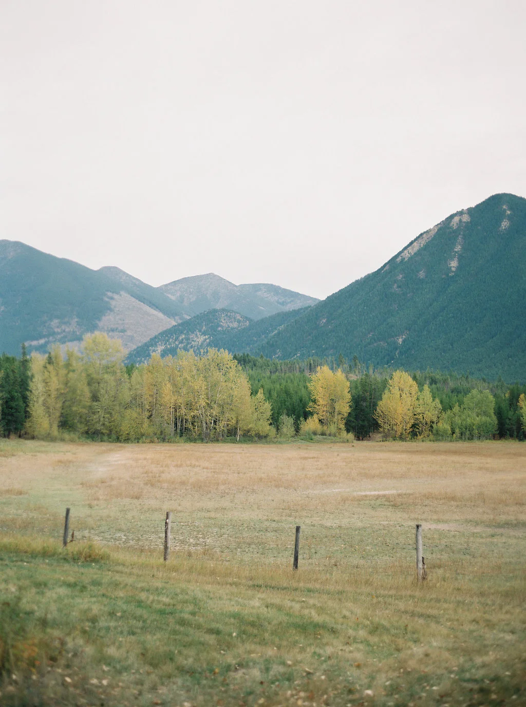 RebeccaHollis_B280.jpg