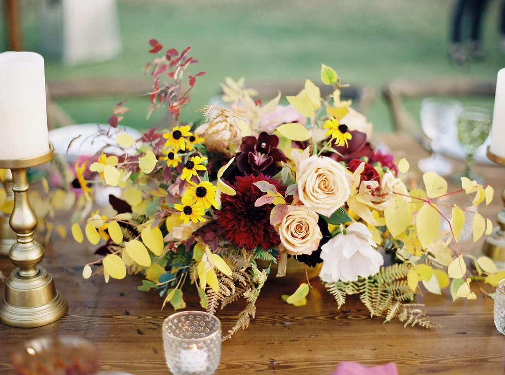 RebeccaHollis_F034.jpg
