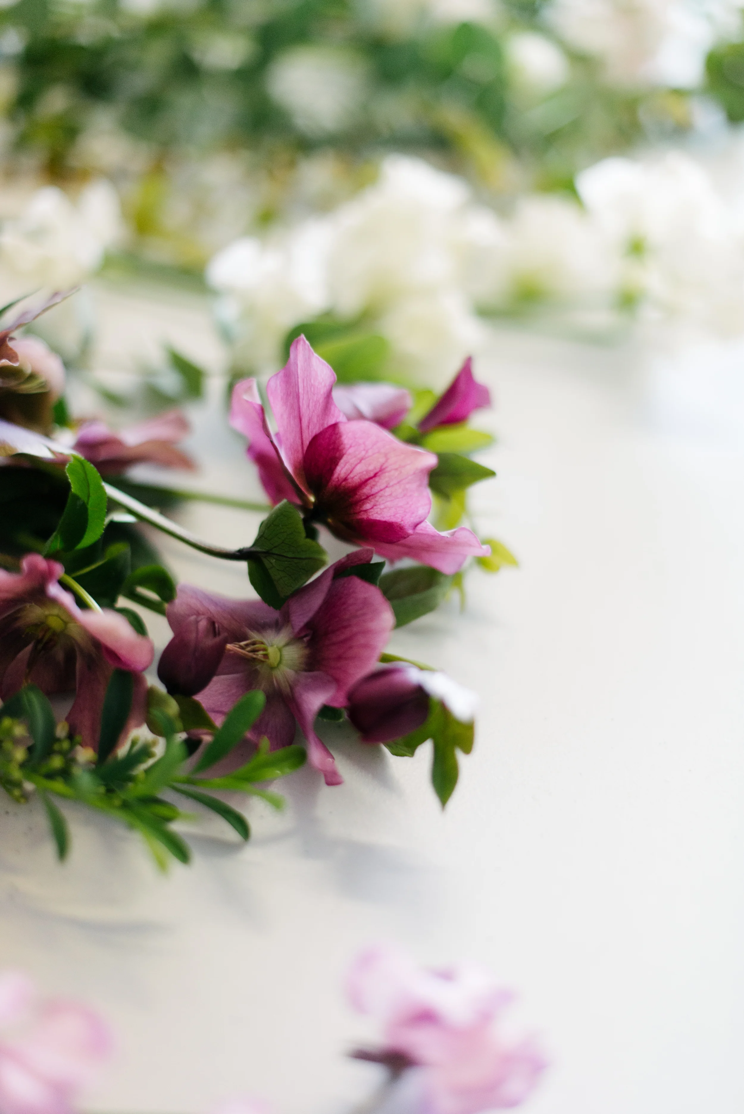 AF Workshop-0274.JPG