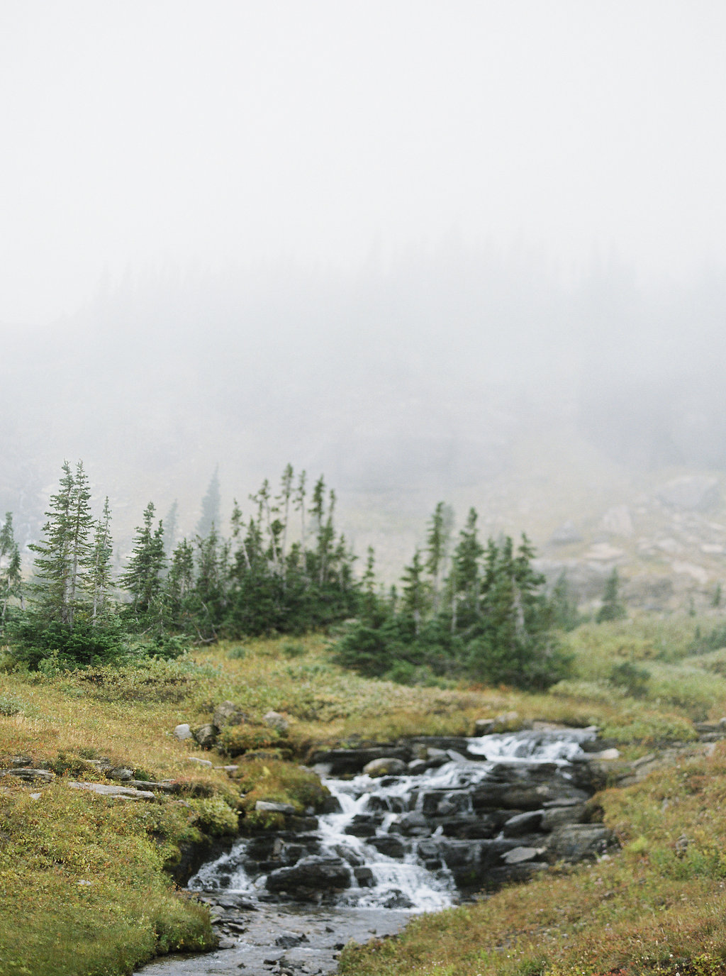 JacquelynHayward-GNP_006.jpg