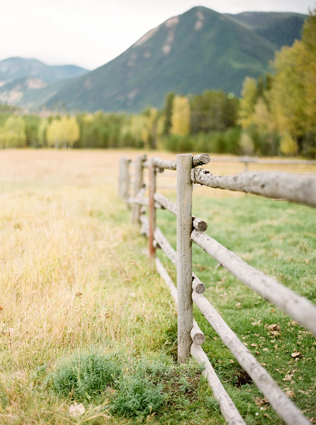 RebeccaHollis-farewell_056.jpg