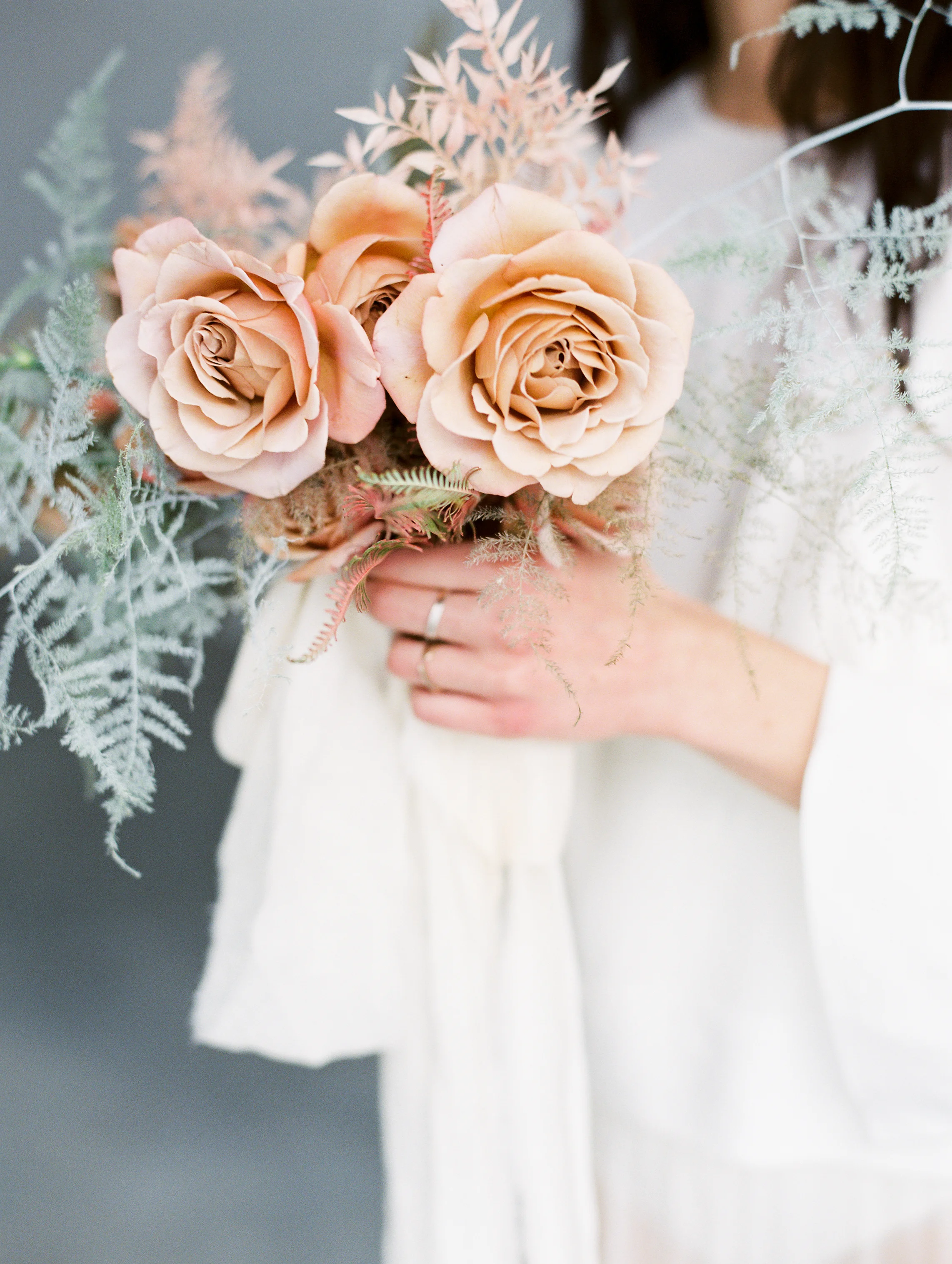 amanda nippoldt photography