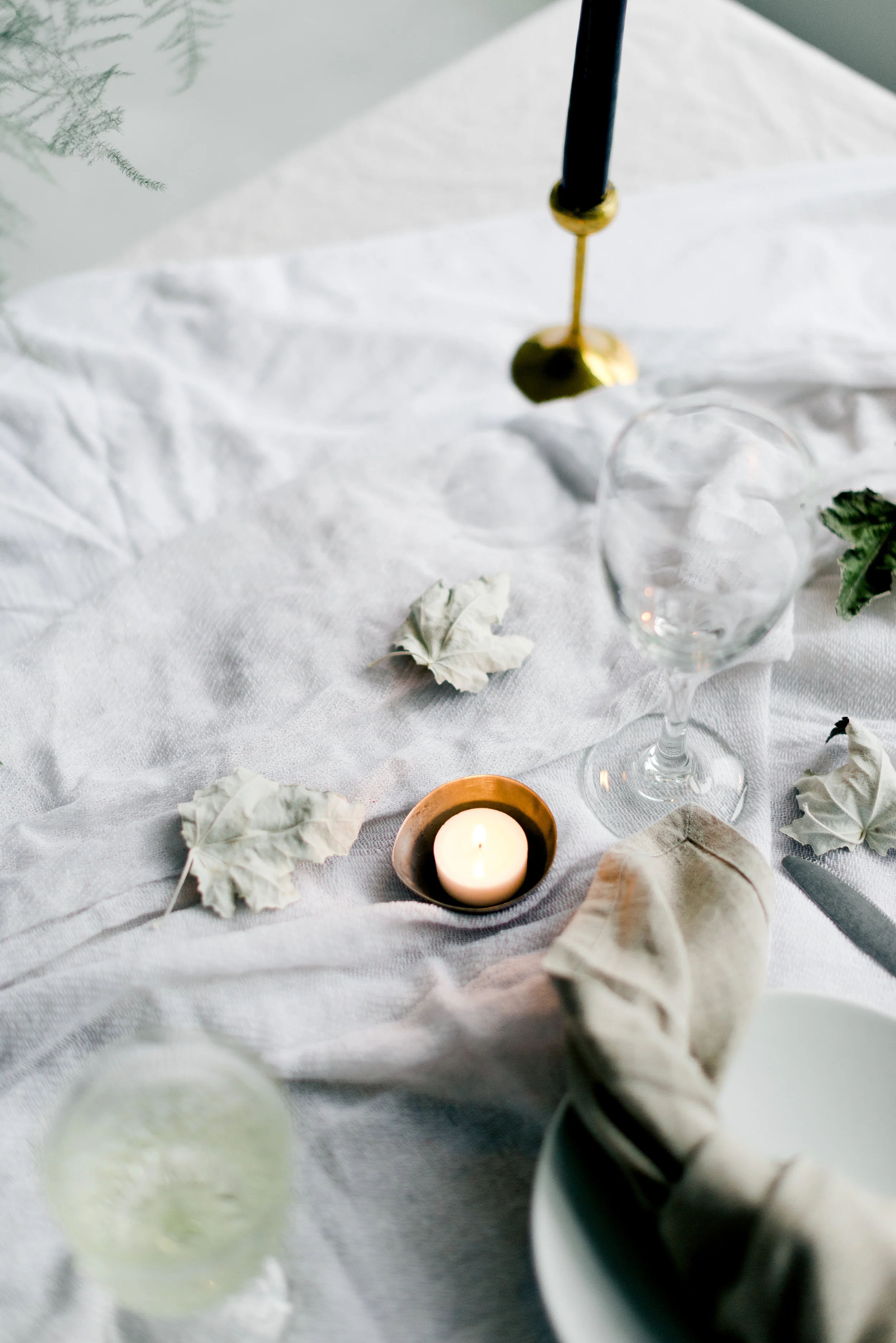 amanda nippoldt photography