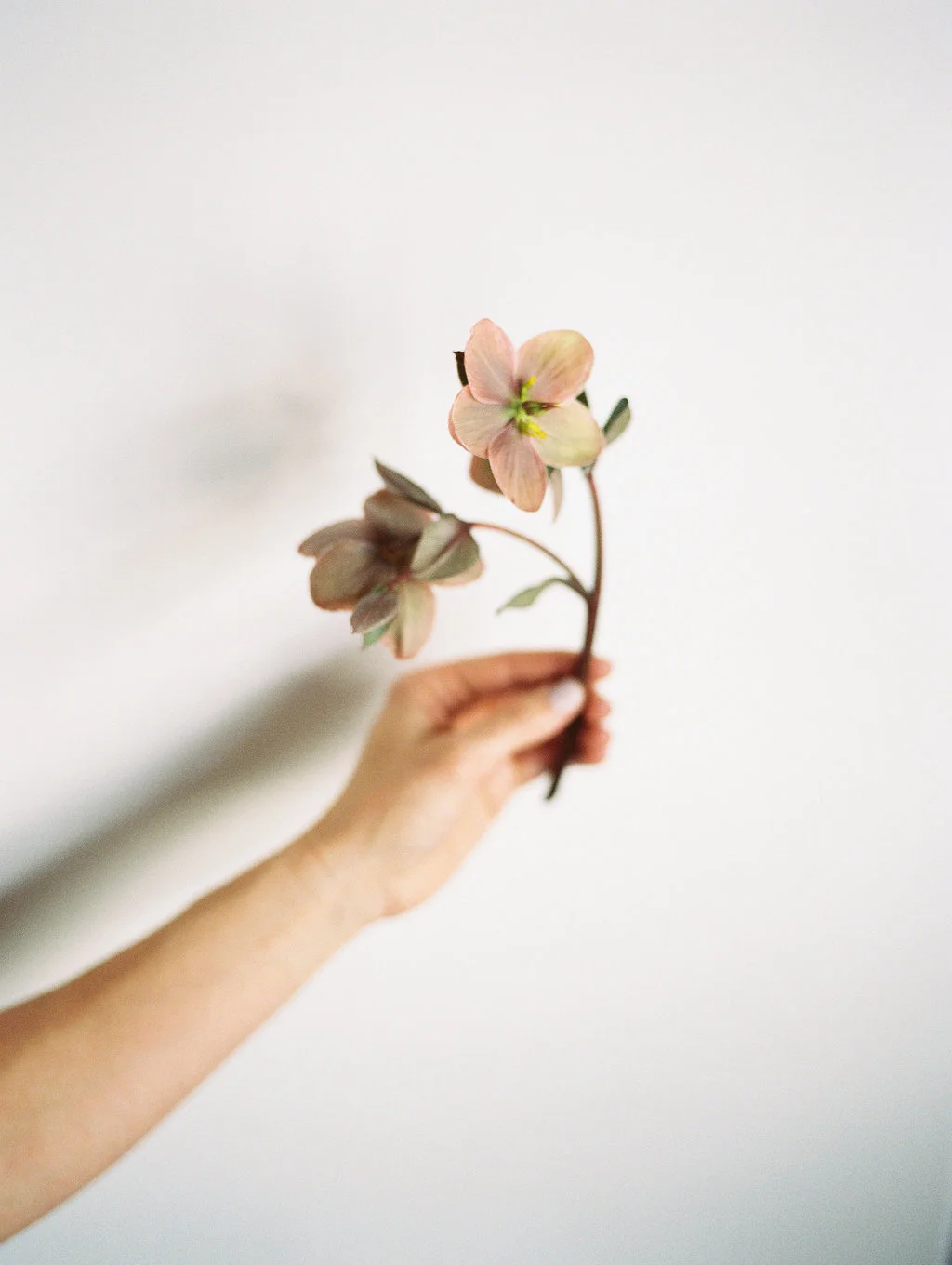 Flower Studio Session / Saturday, March 16 