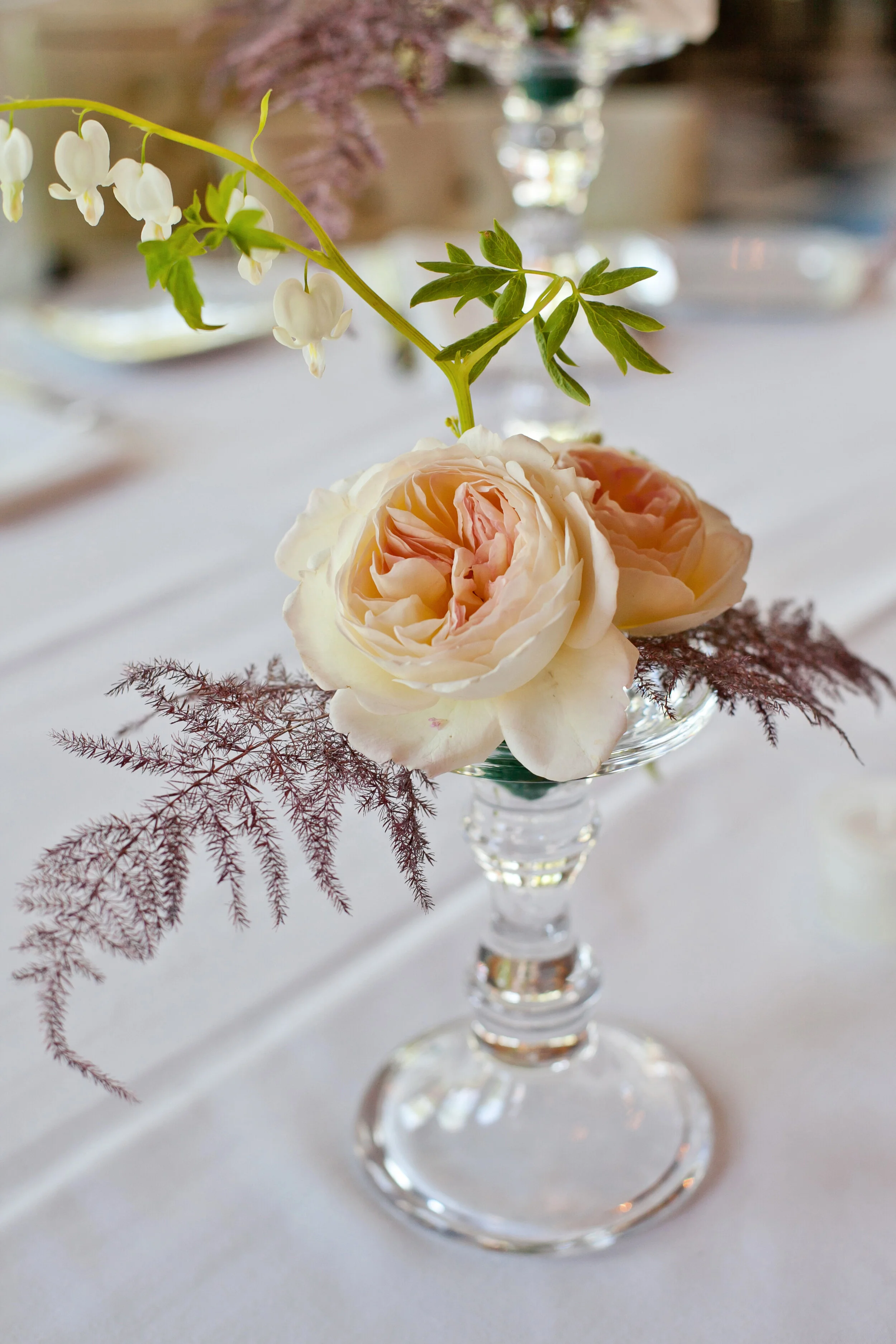 IMG_5028 copy.jpg