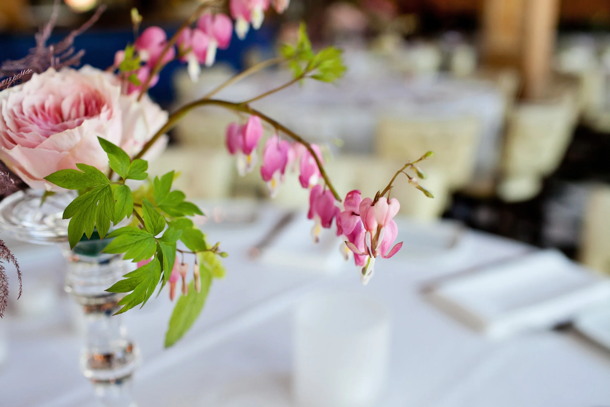 IMG_4988 copy.jpg