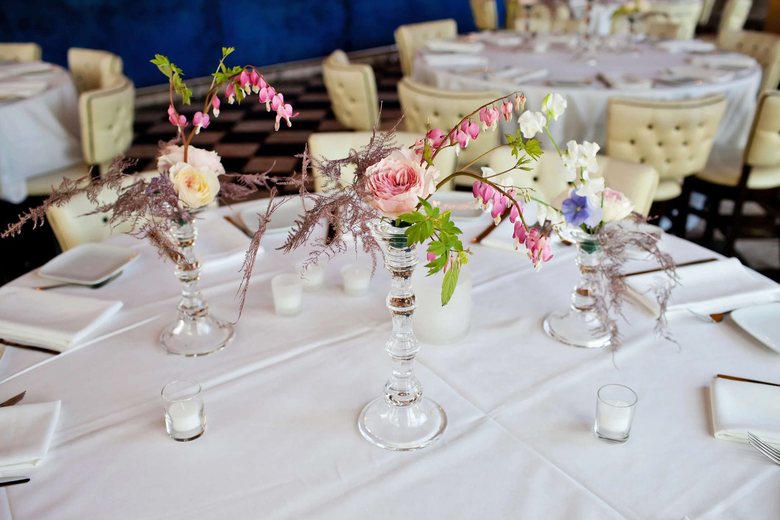 IMG_5025 copy.jpg