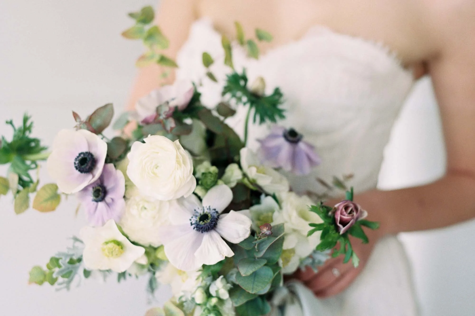 home_banner_ashley_fox_1.jpg