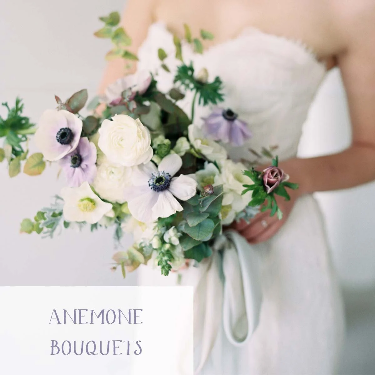 portfolio_thumbnail_ashley_fox_ANEMONE.jpg