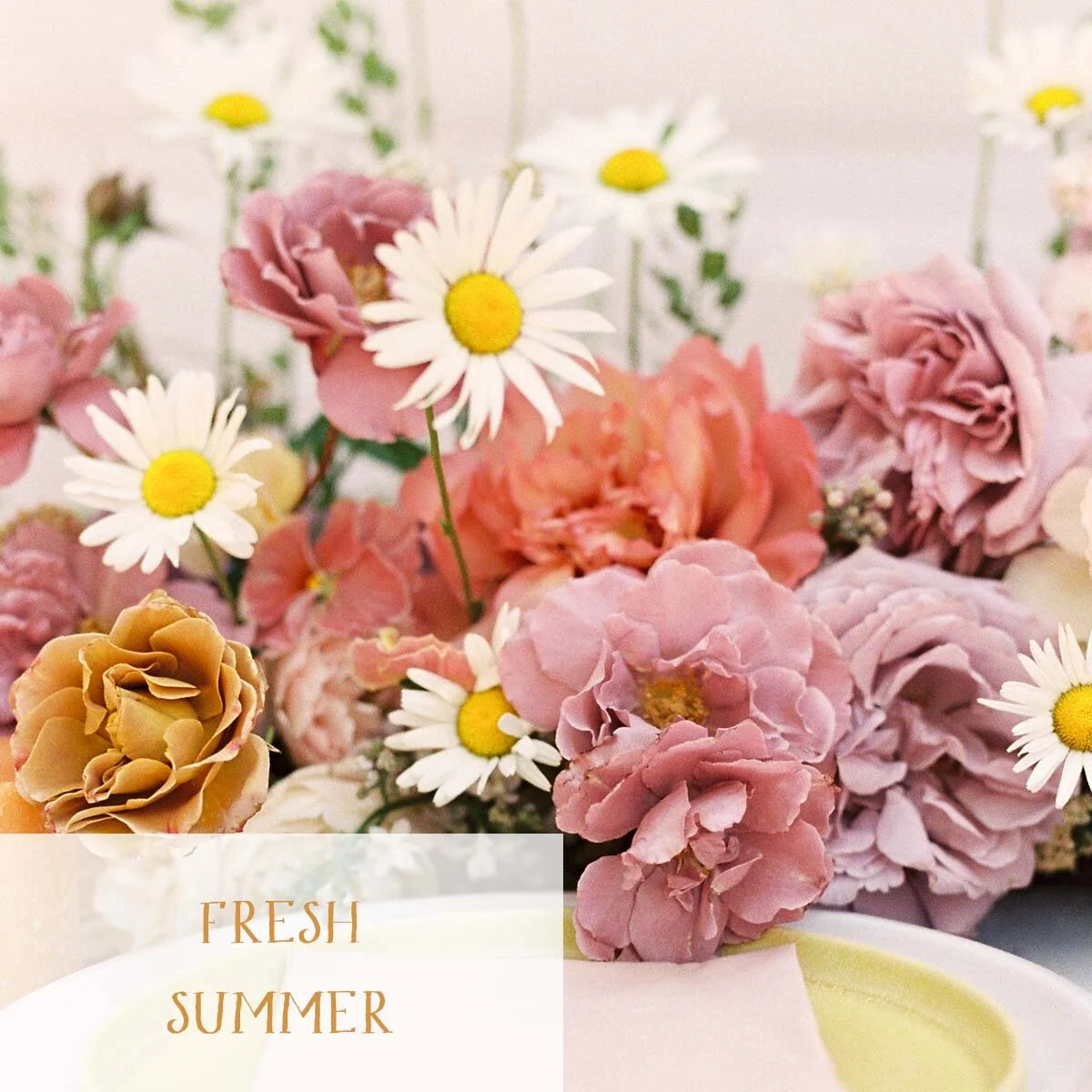 portfolio_thumbnail_ashley_fox_FRESH_SUMMER.jpg