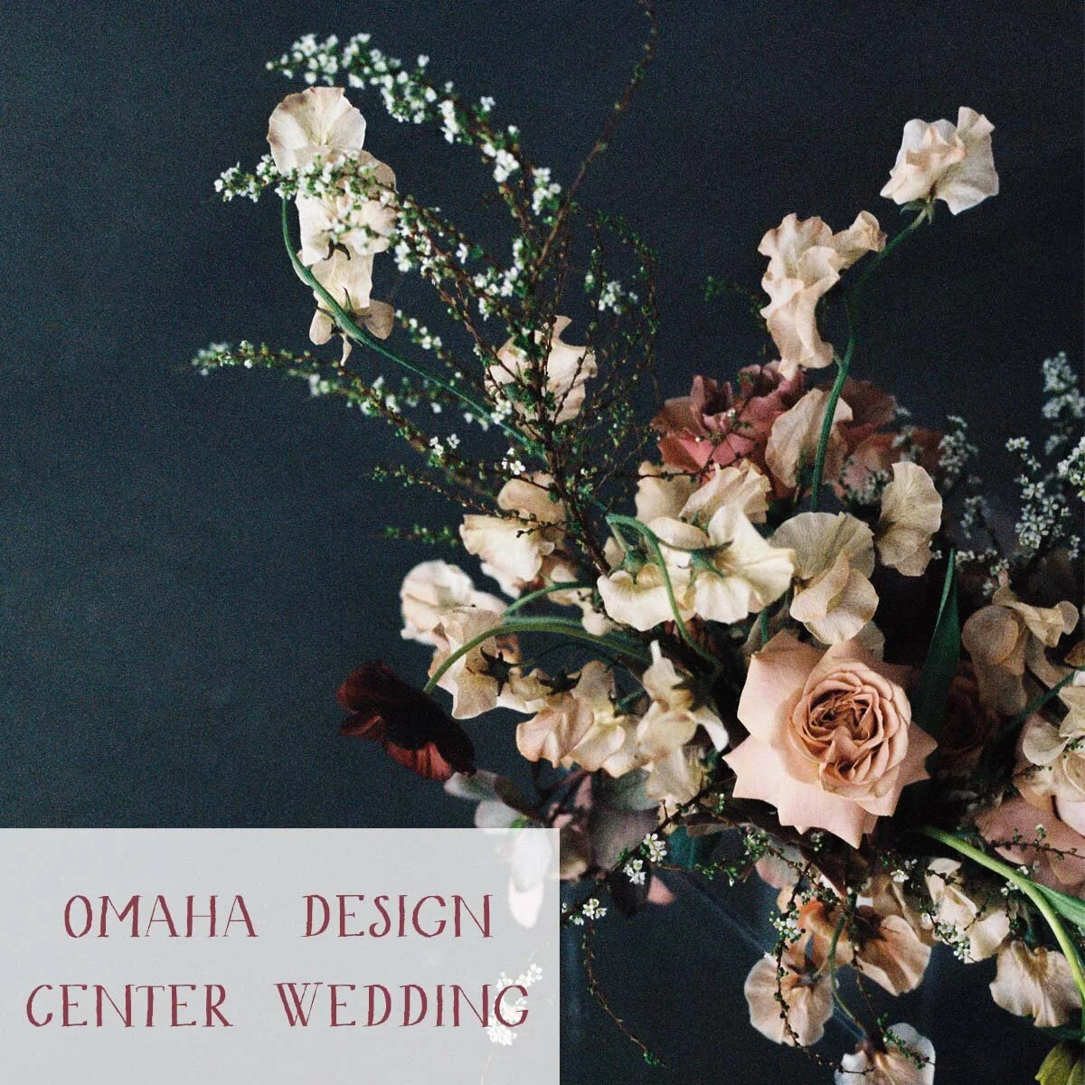 portfolio_thumbnail_ashley_fox_omaha_Design.jpg