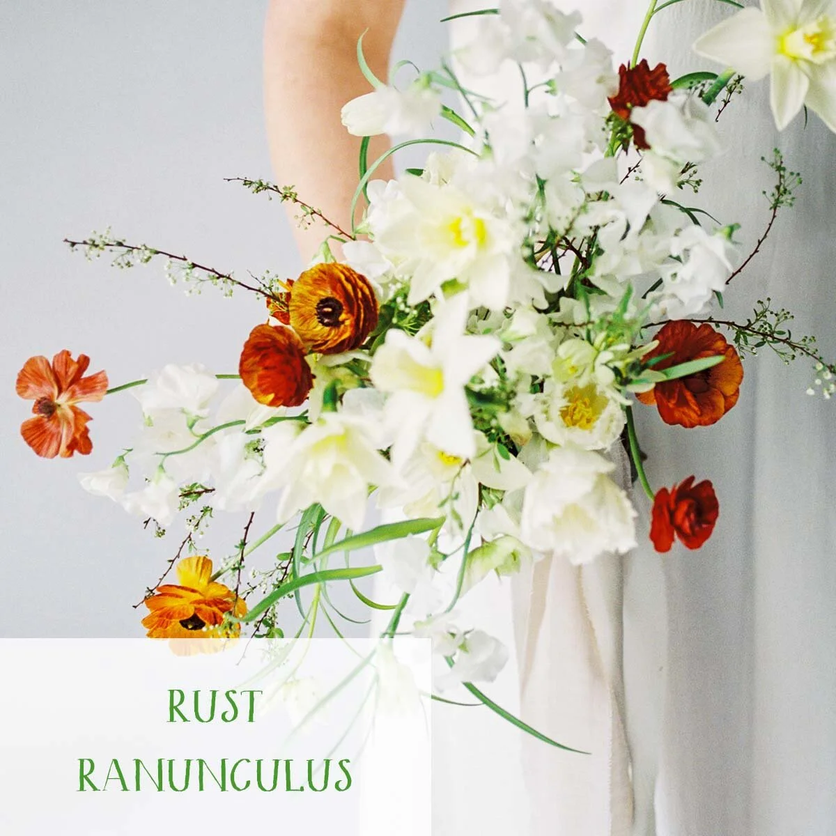 portfolio_thumbnail_ashley_fox_RUST_RANUNCULUS.jpg