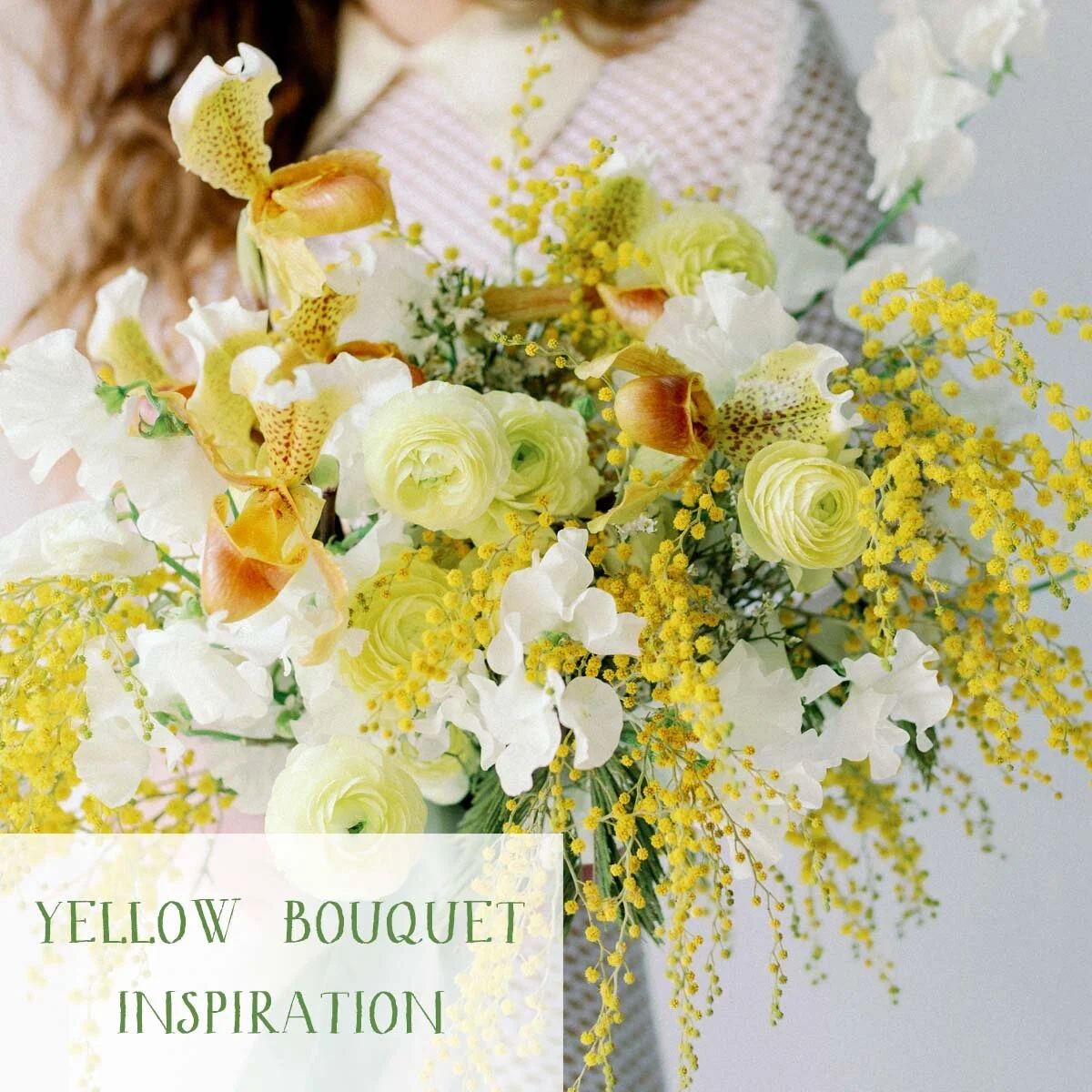 portfolio_thumbnail_ashley_fox_YELLOW.jpg