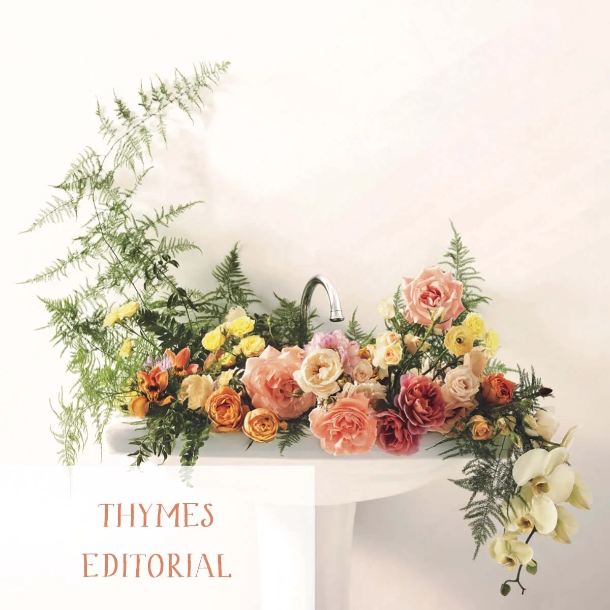 portfolio_thumbnail_ashley_fox_THYMES.jpg