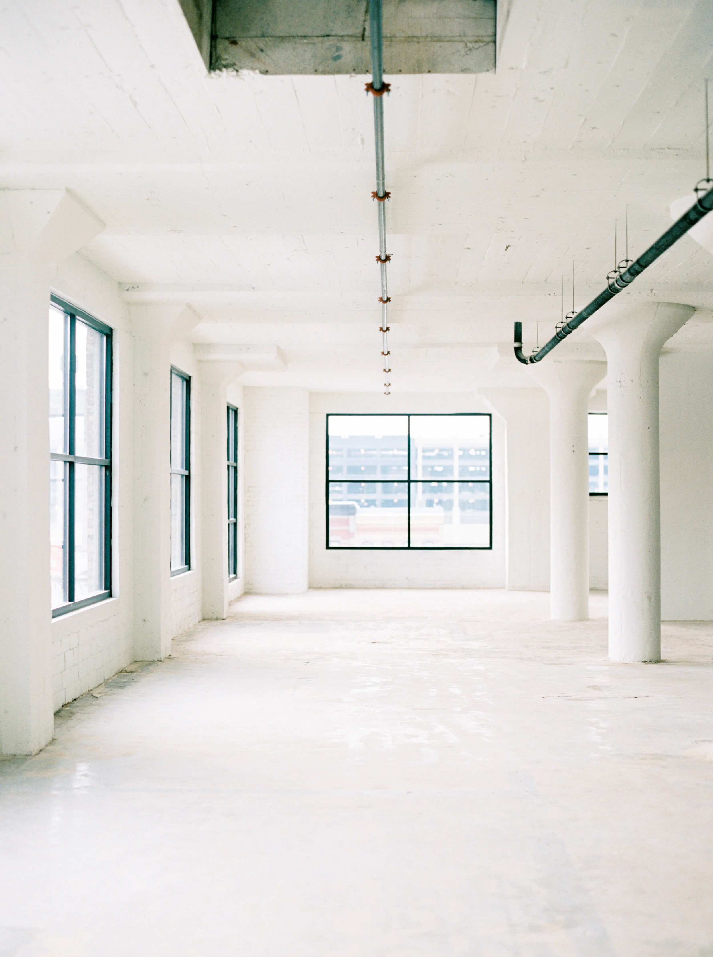 Amanda Nippoldt Photography