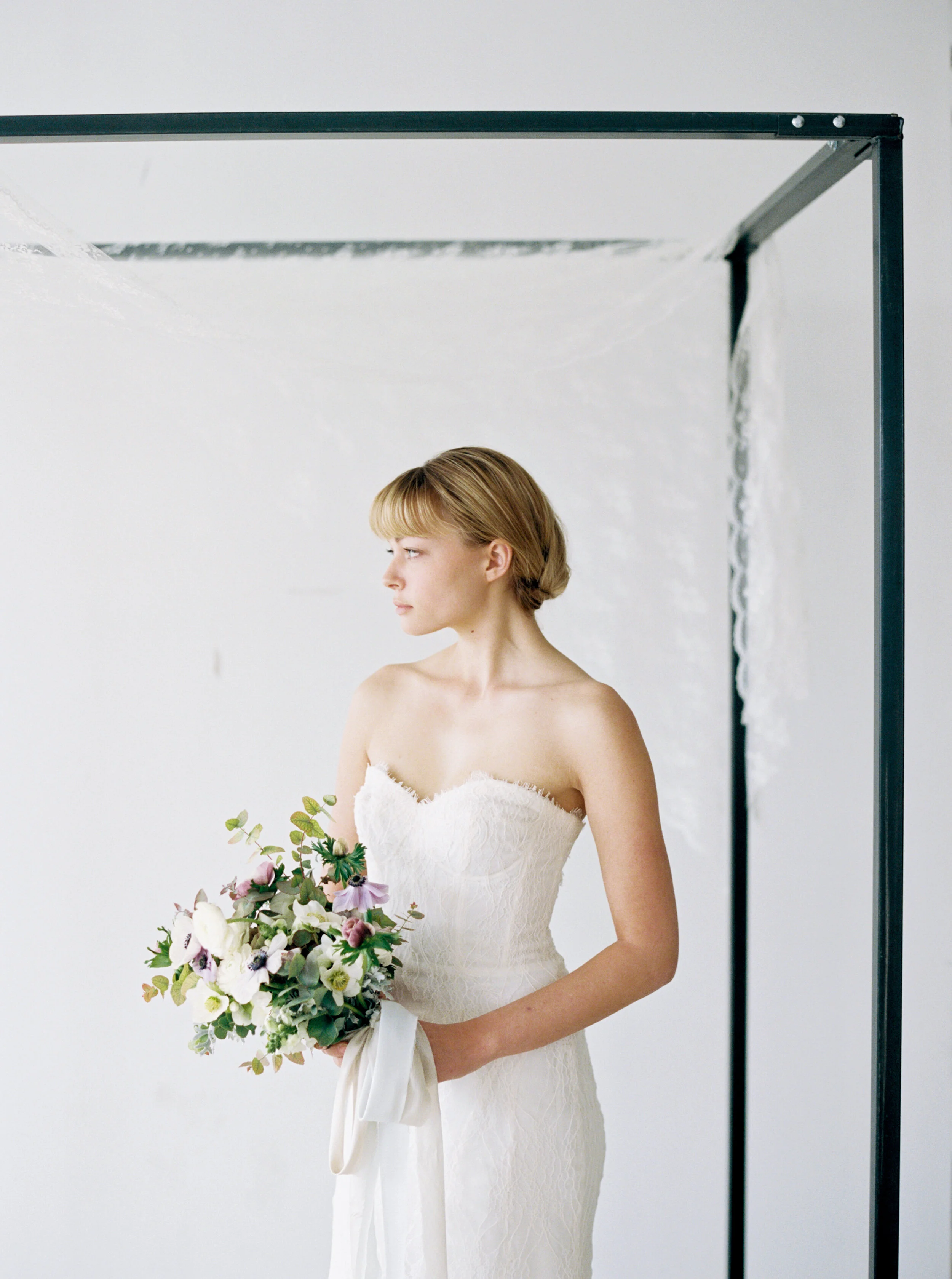 Amanda Nippoldt Photography