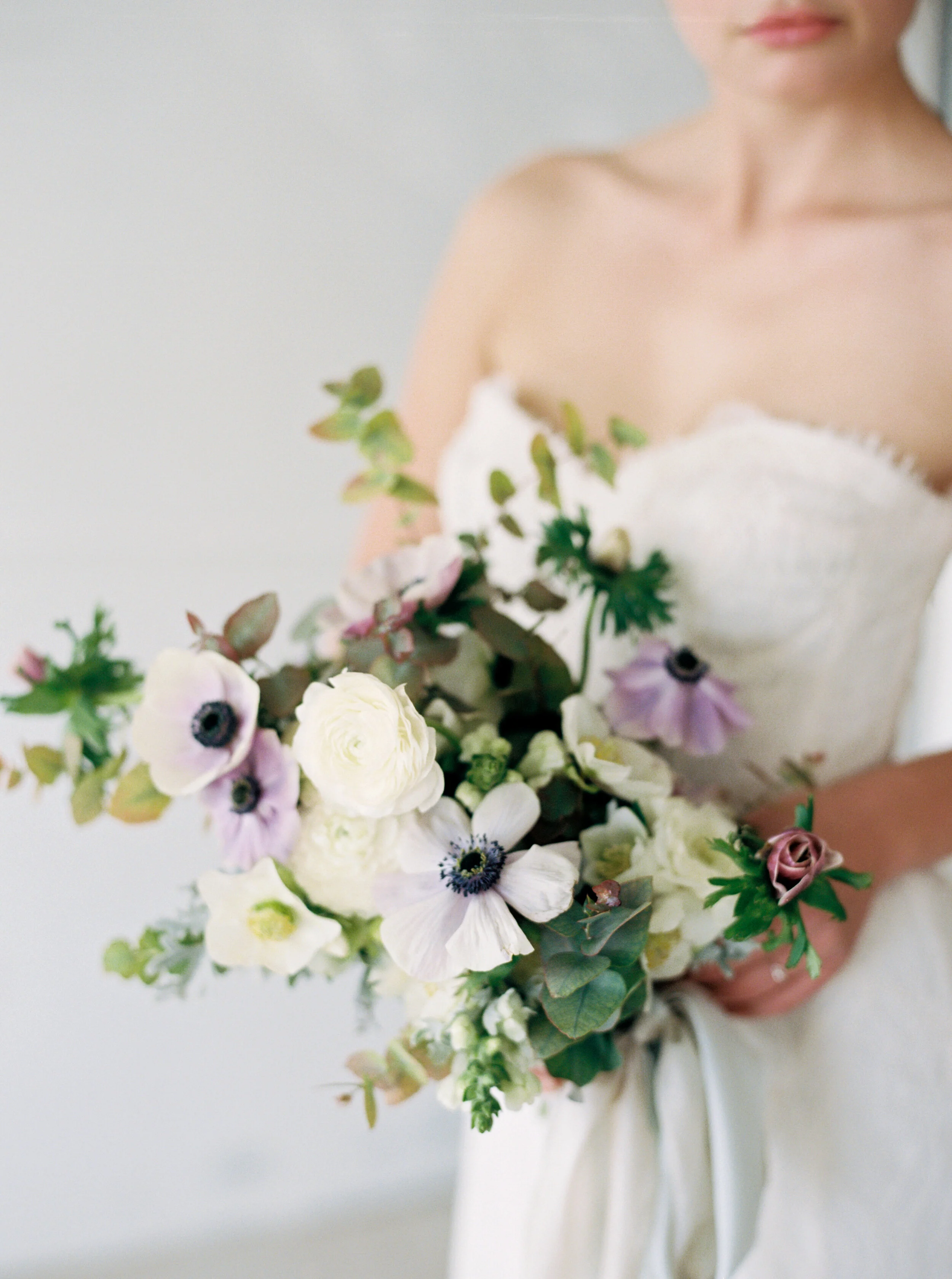 Amanda Nippoldt Photography