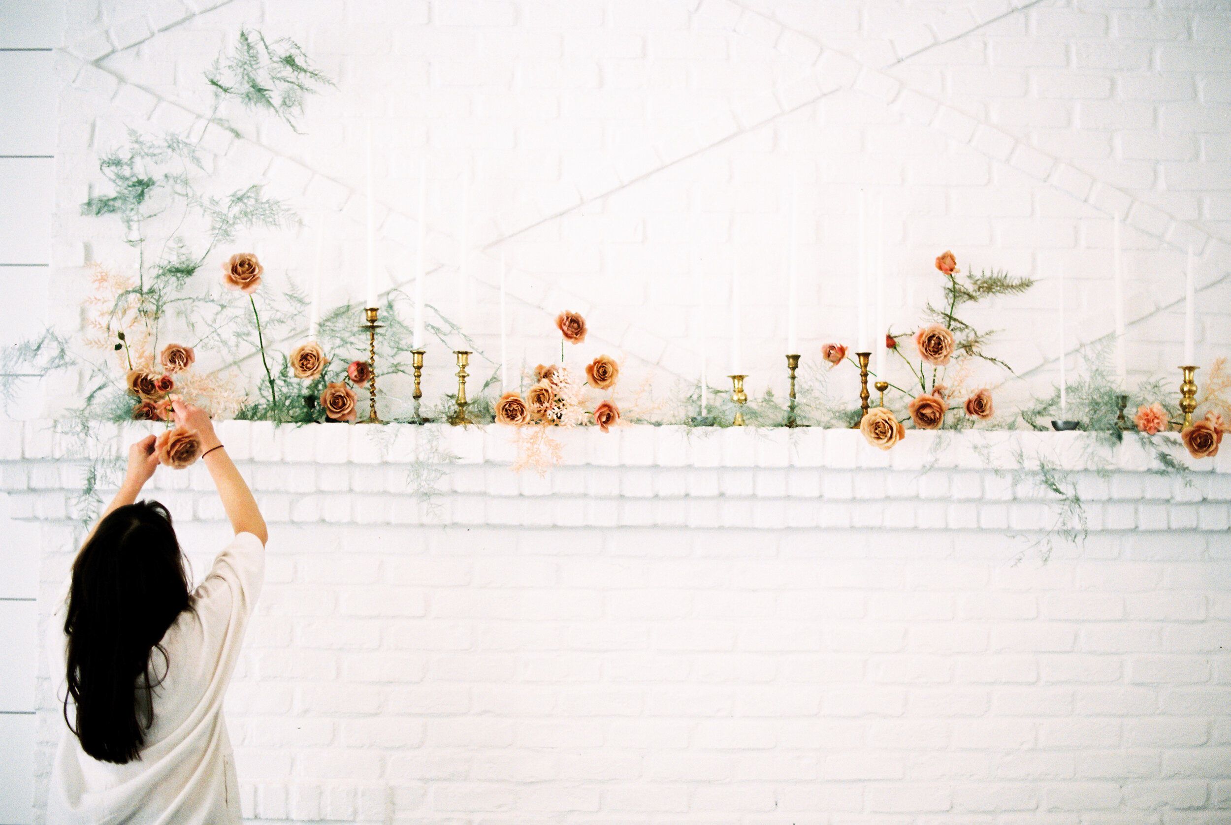 Amanda Nippoldt Photography