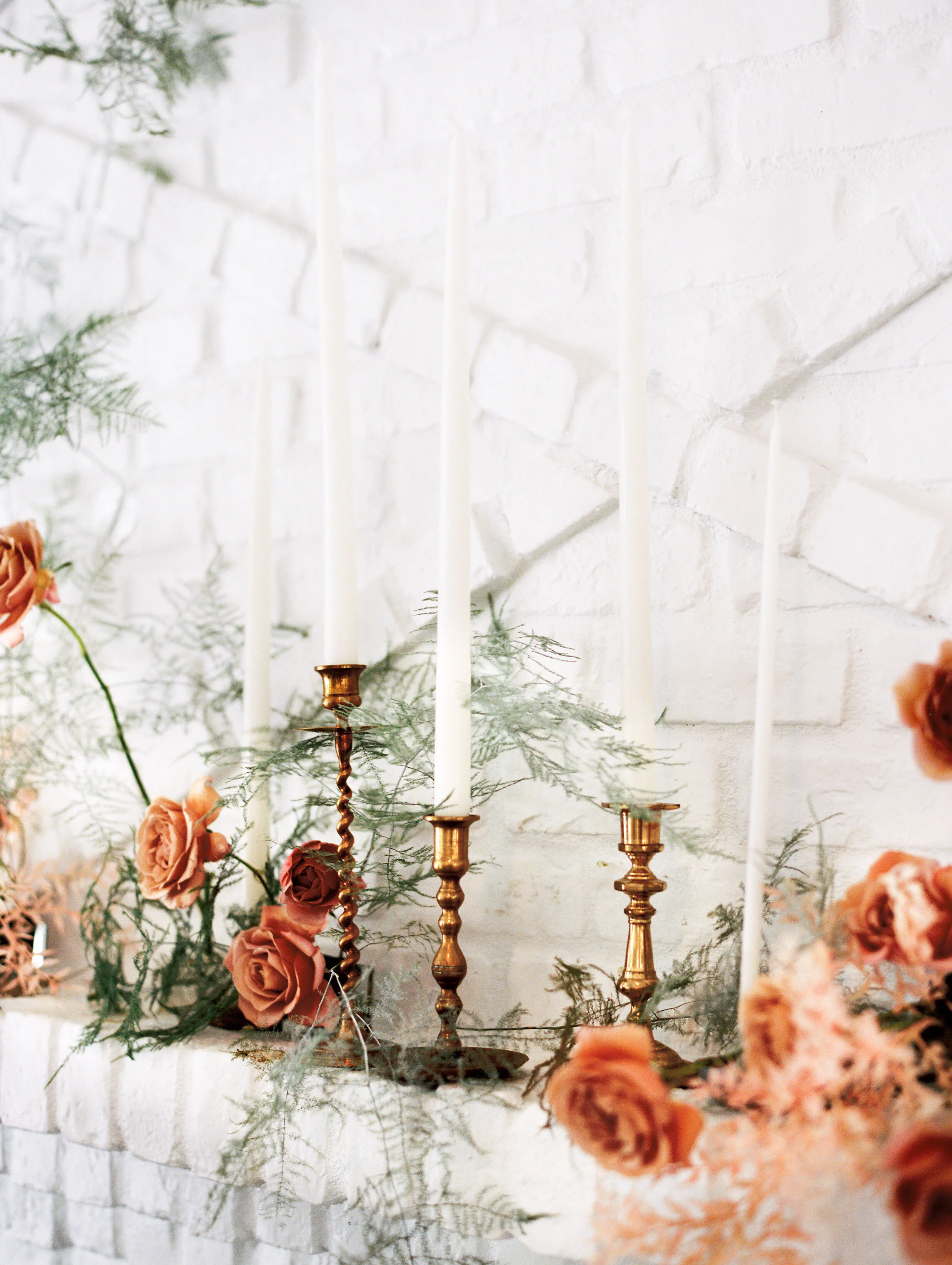 Amanda Nippoldt Photography