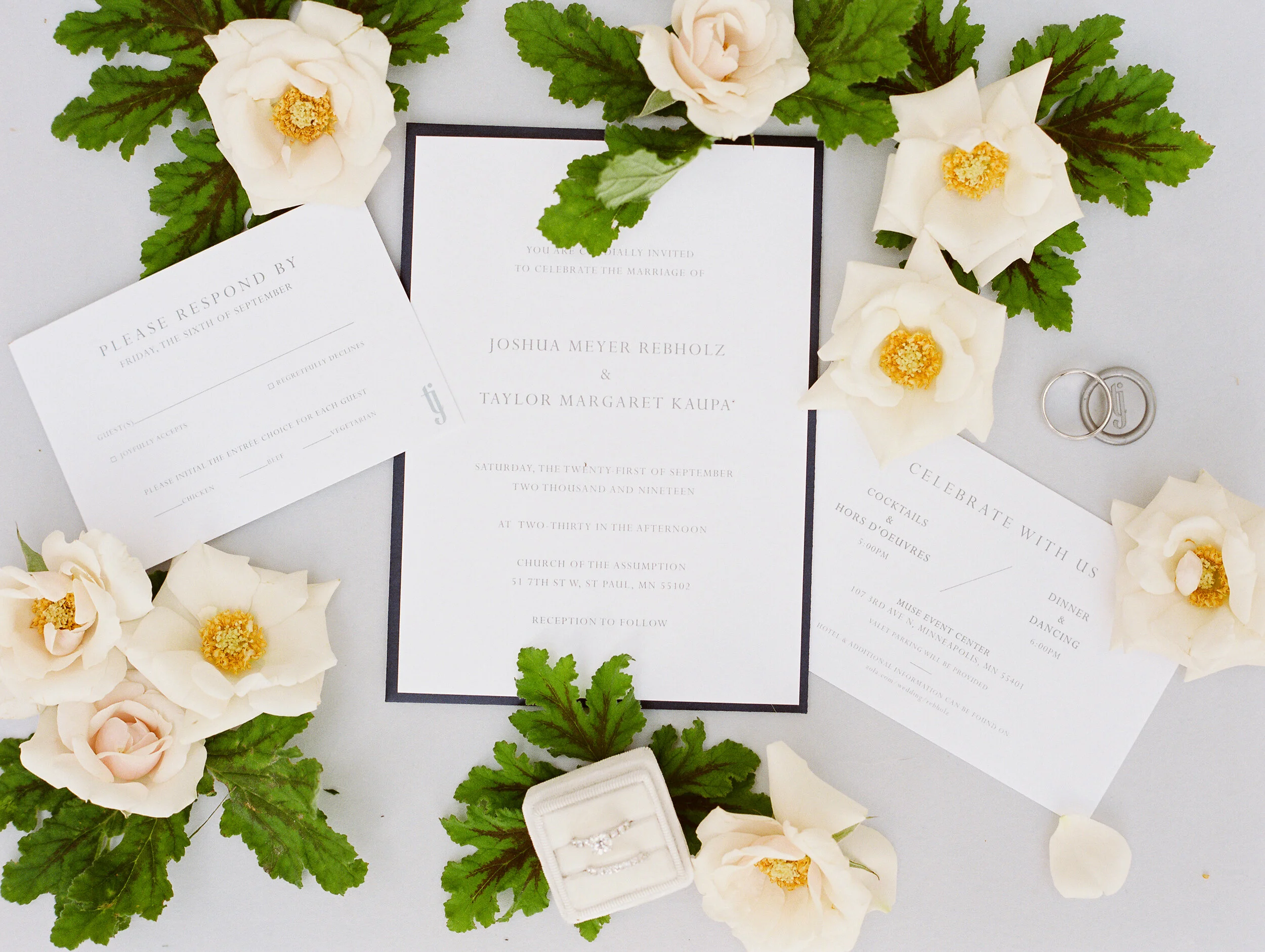 Amanda Nippoldt Photography