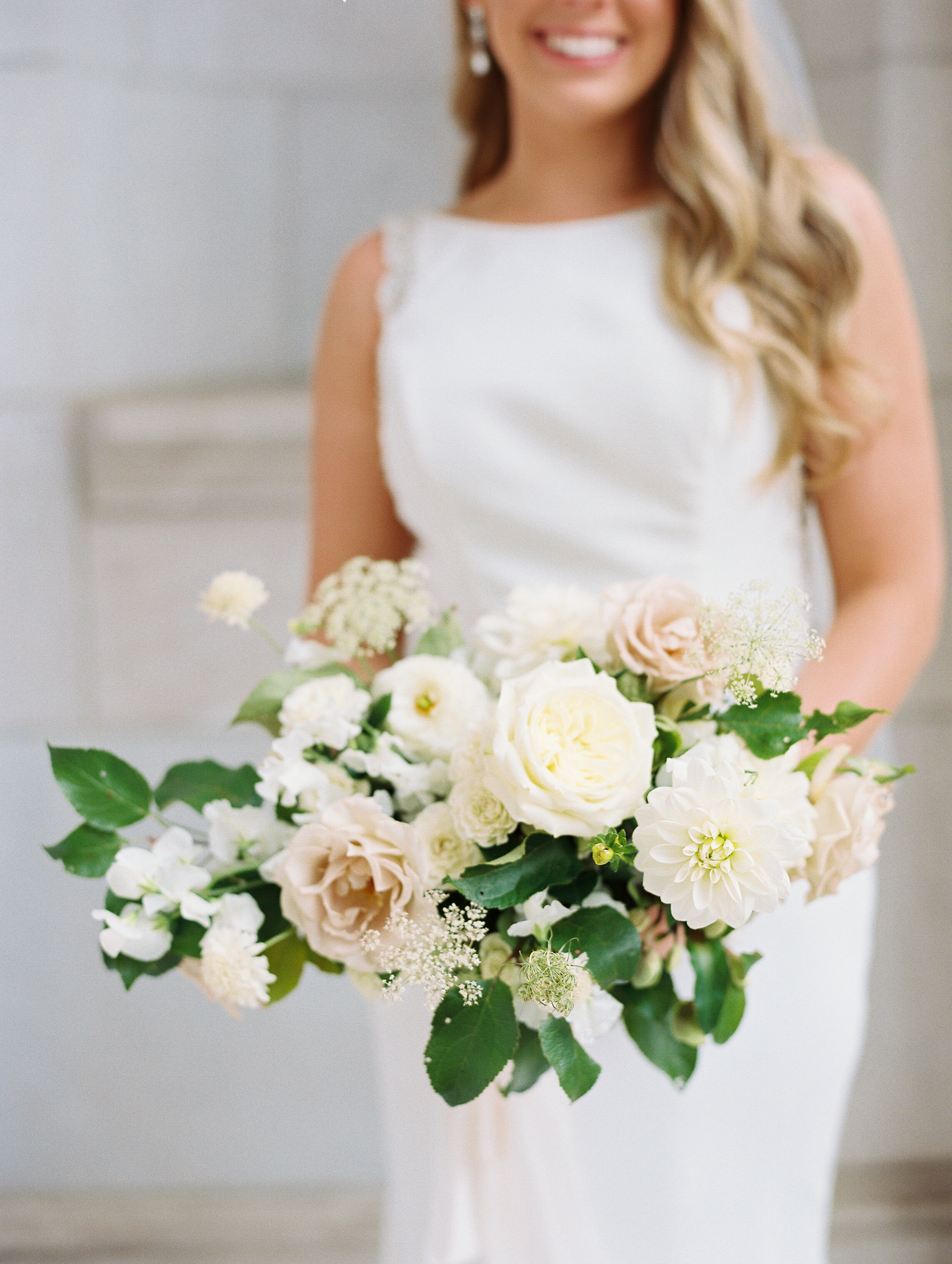 Amanda Nippoldt Photography