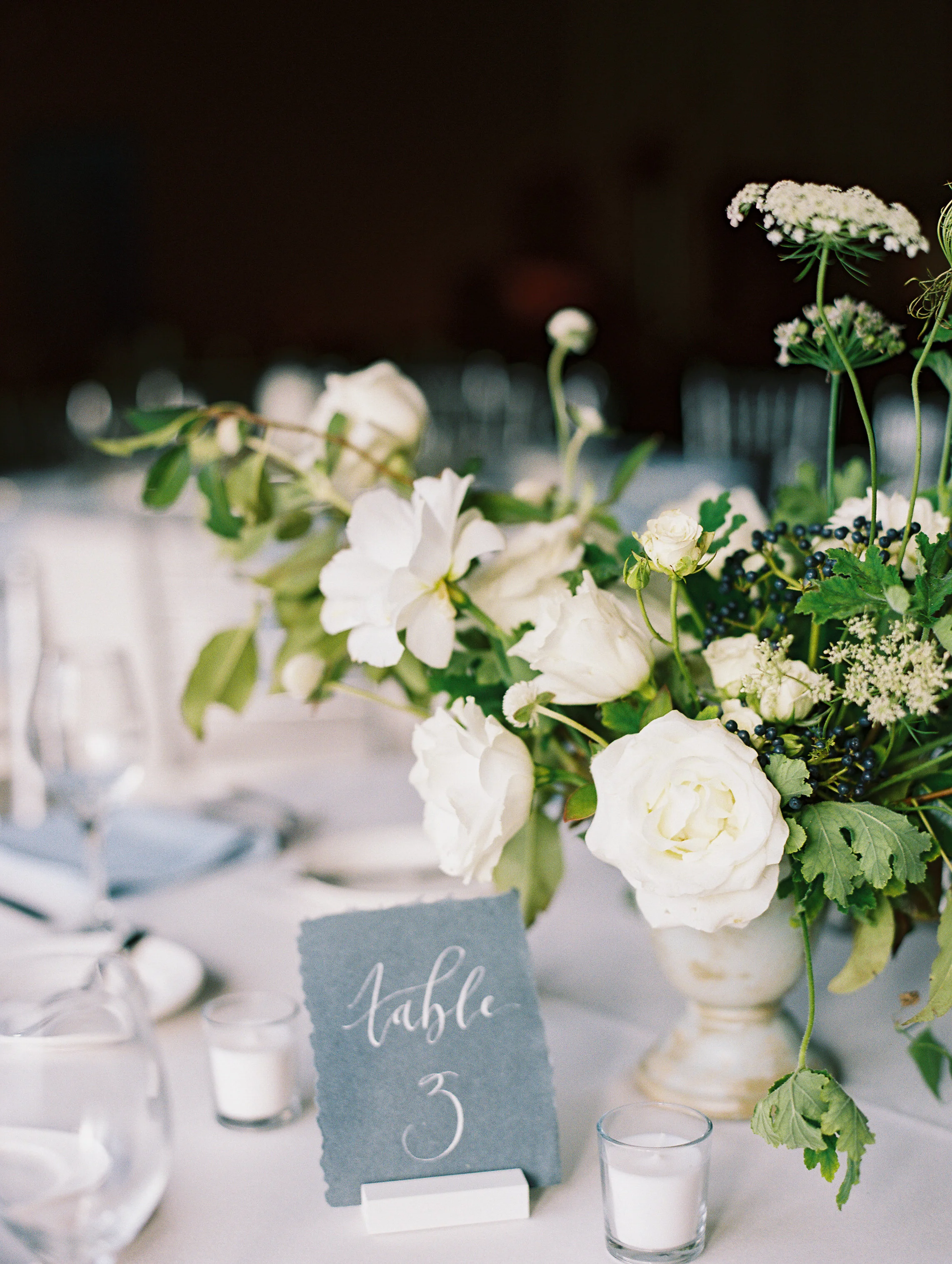 Amanda Nippoldt Photography