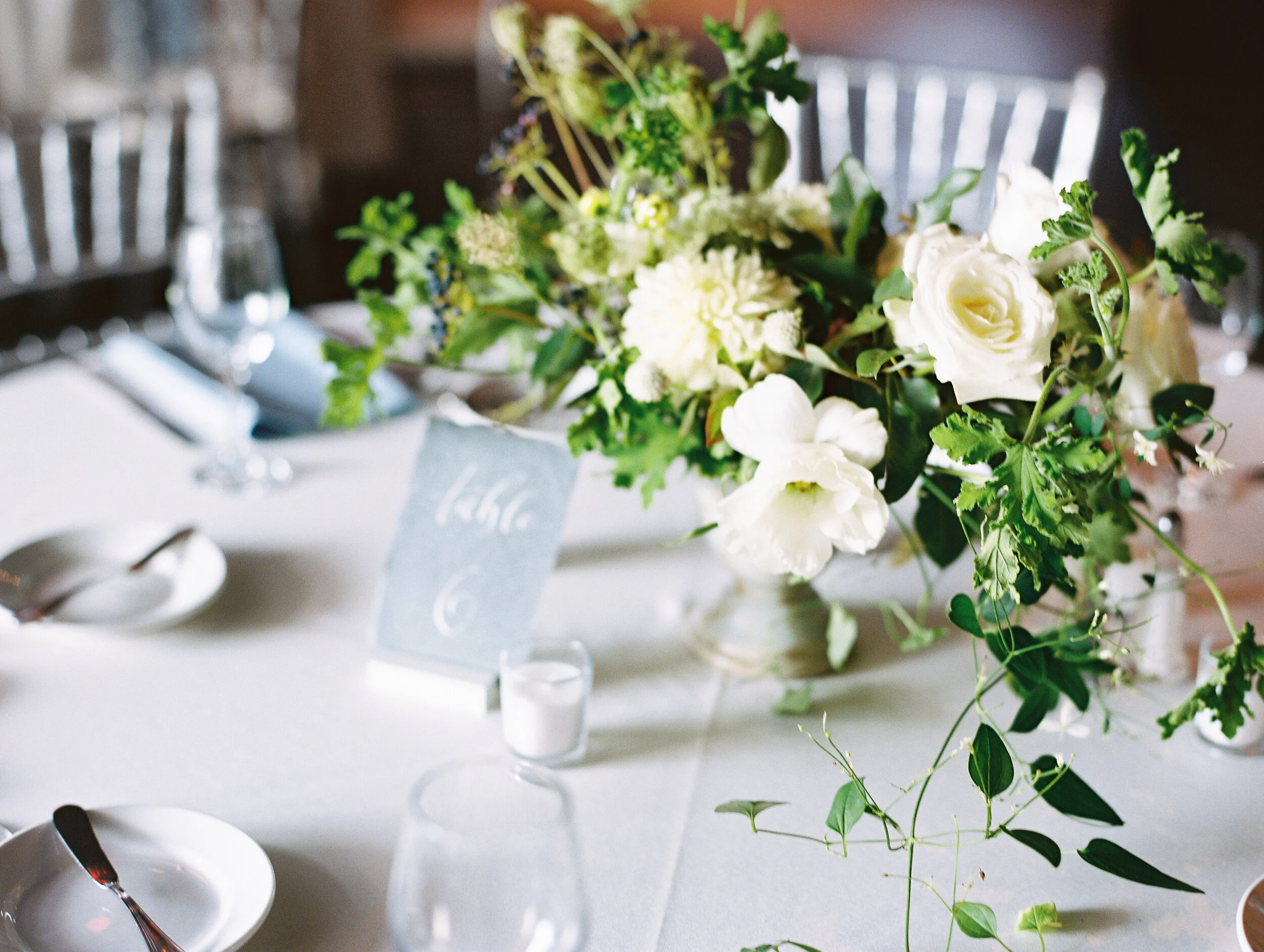 Amanda Nippoldt Photography