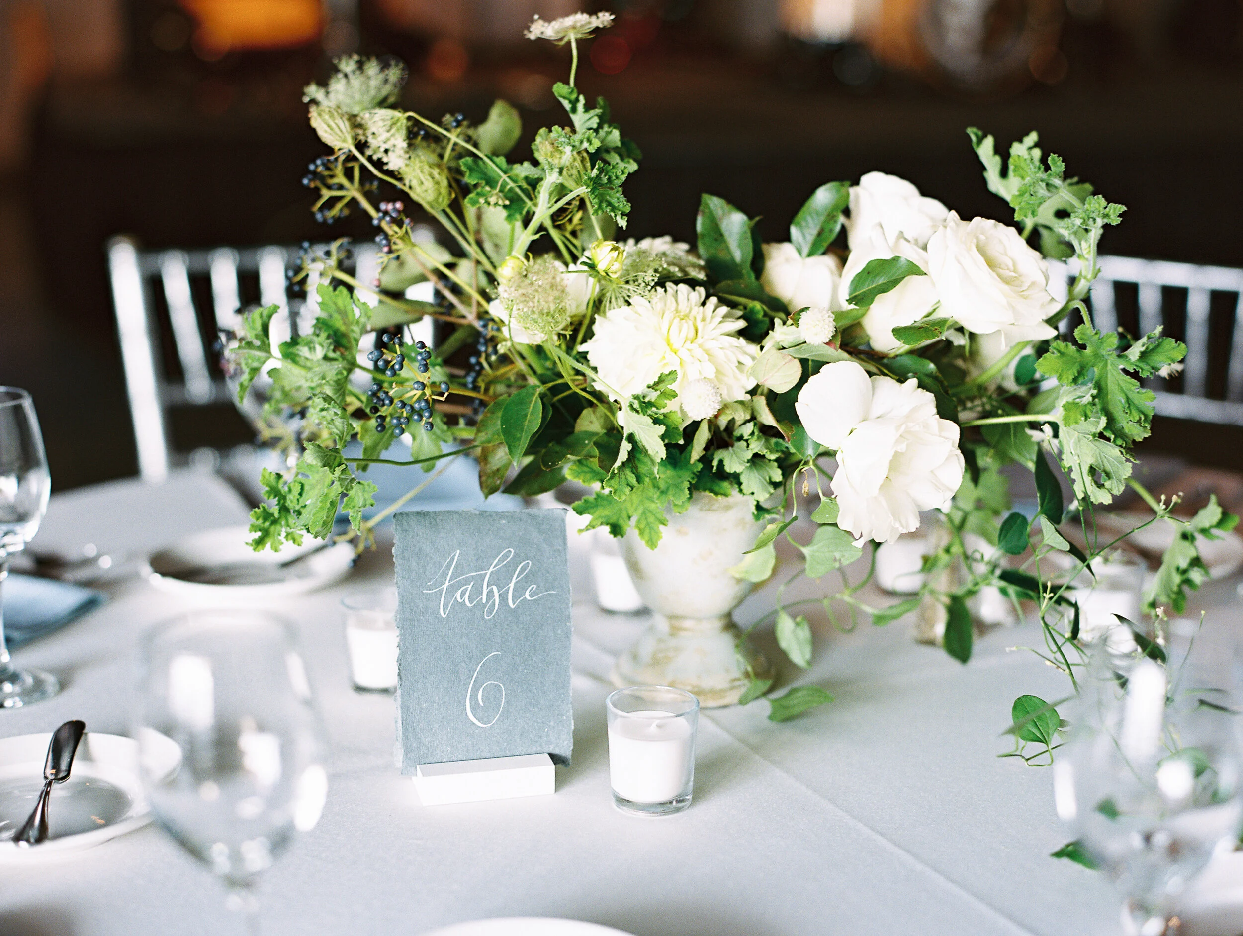 Amanda Nippoldt Photography