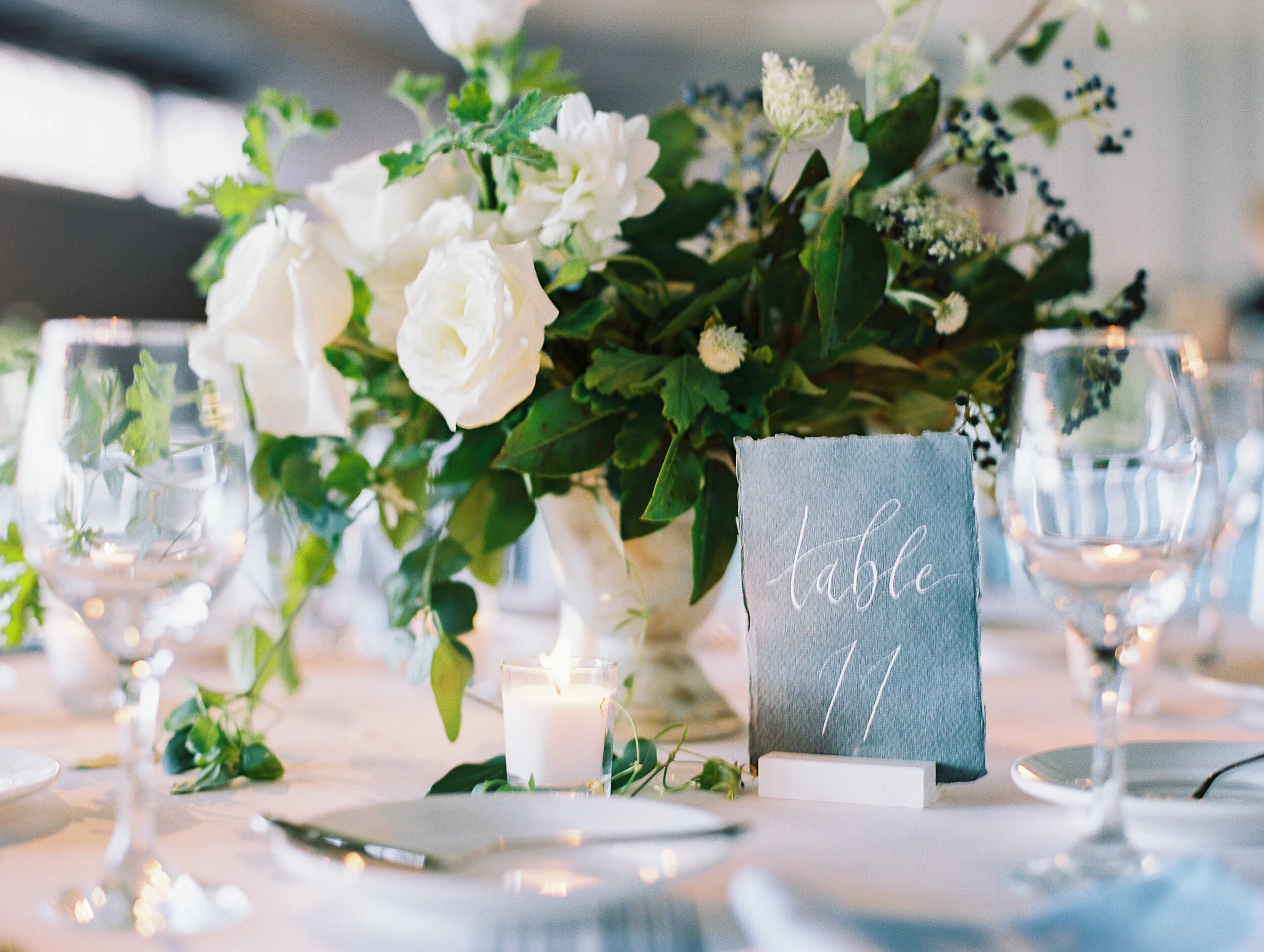Amanda Nippoldt Photography