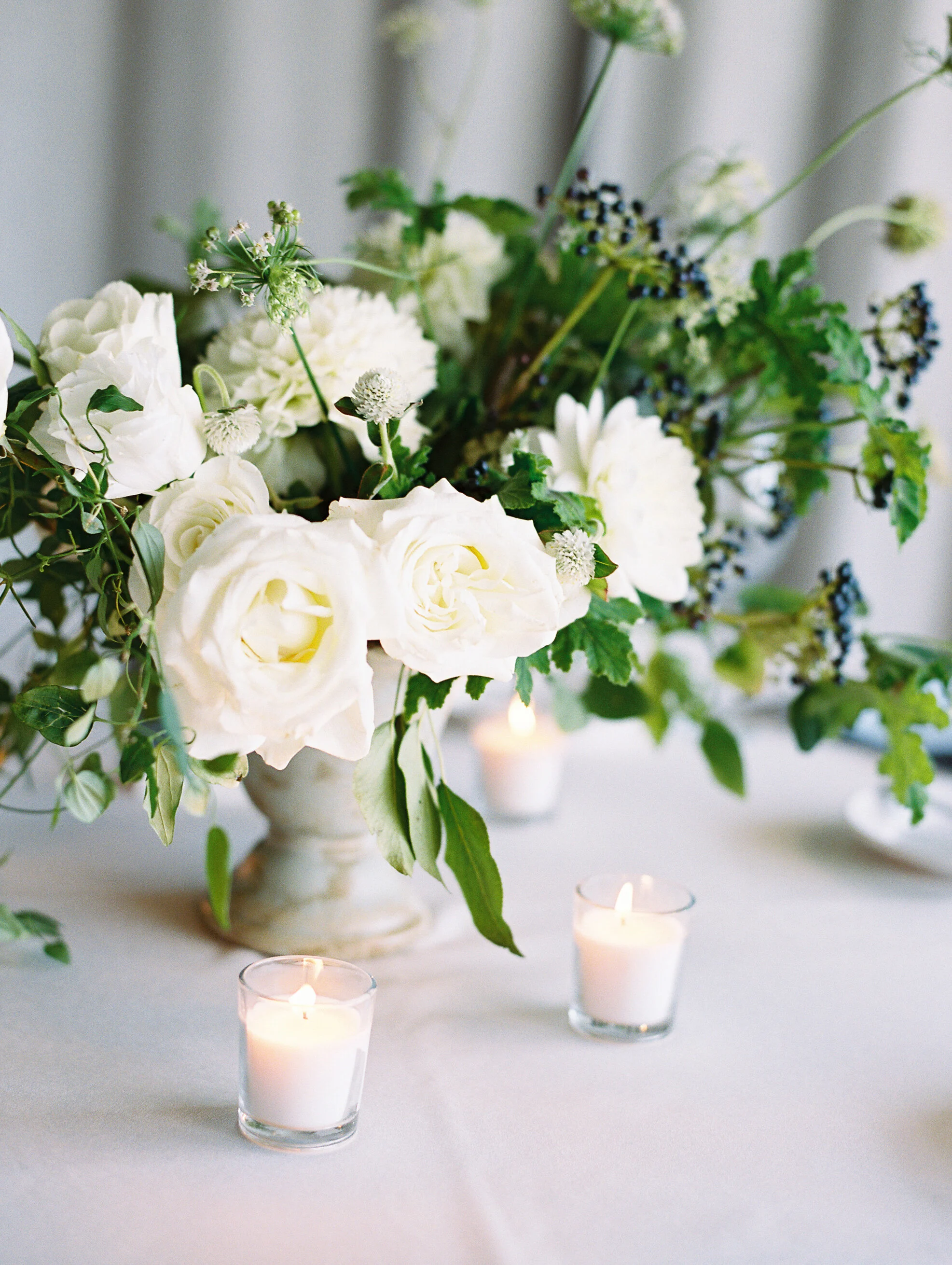 Amanda Nippoldt Photography