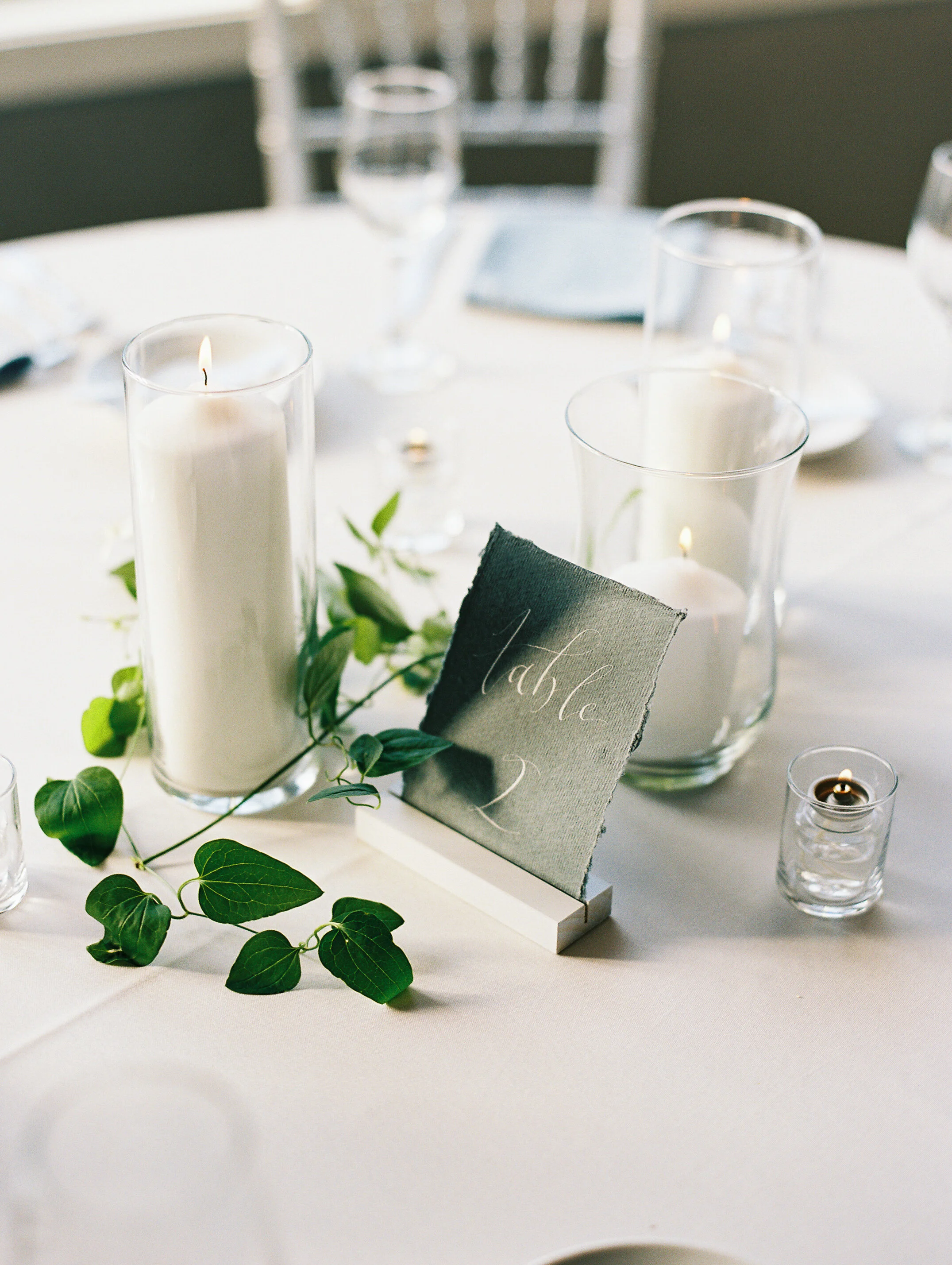 Amanda Nippoldt Photography
